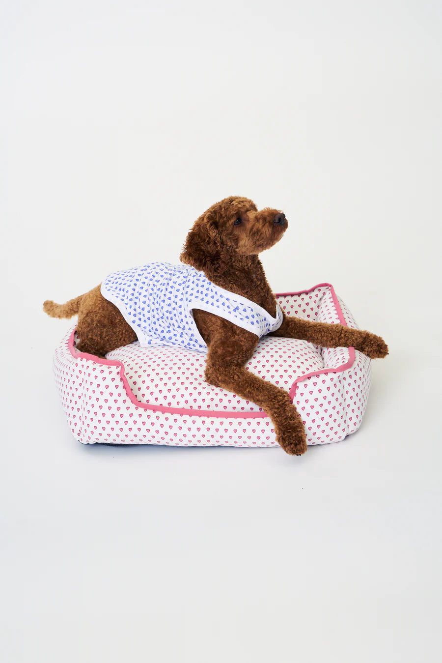 Hearts Dog Pajamas