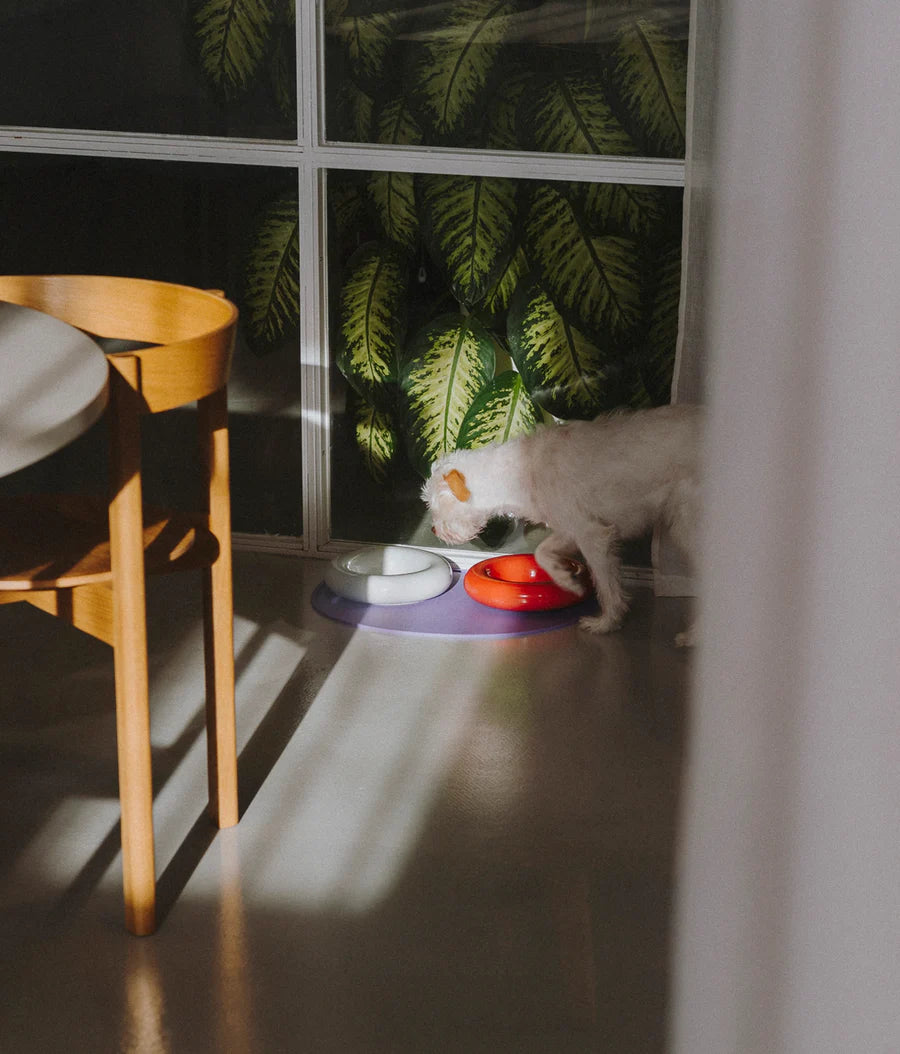 White ceramic bowl