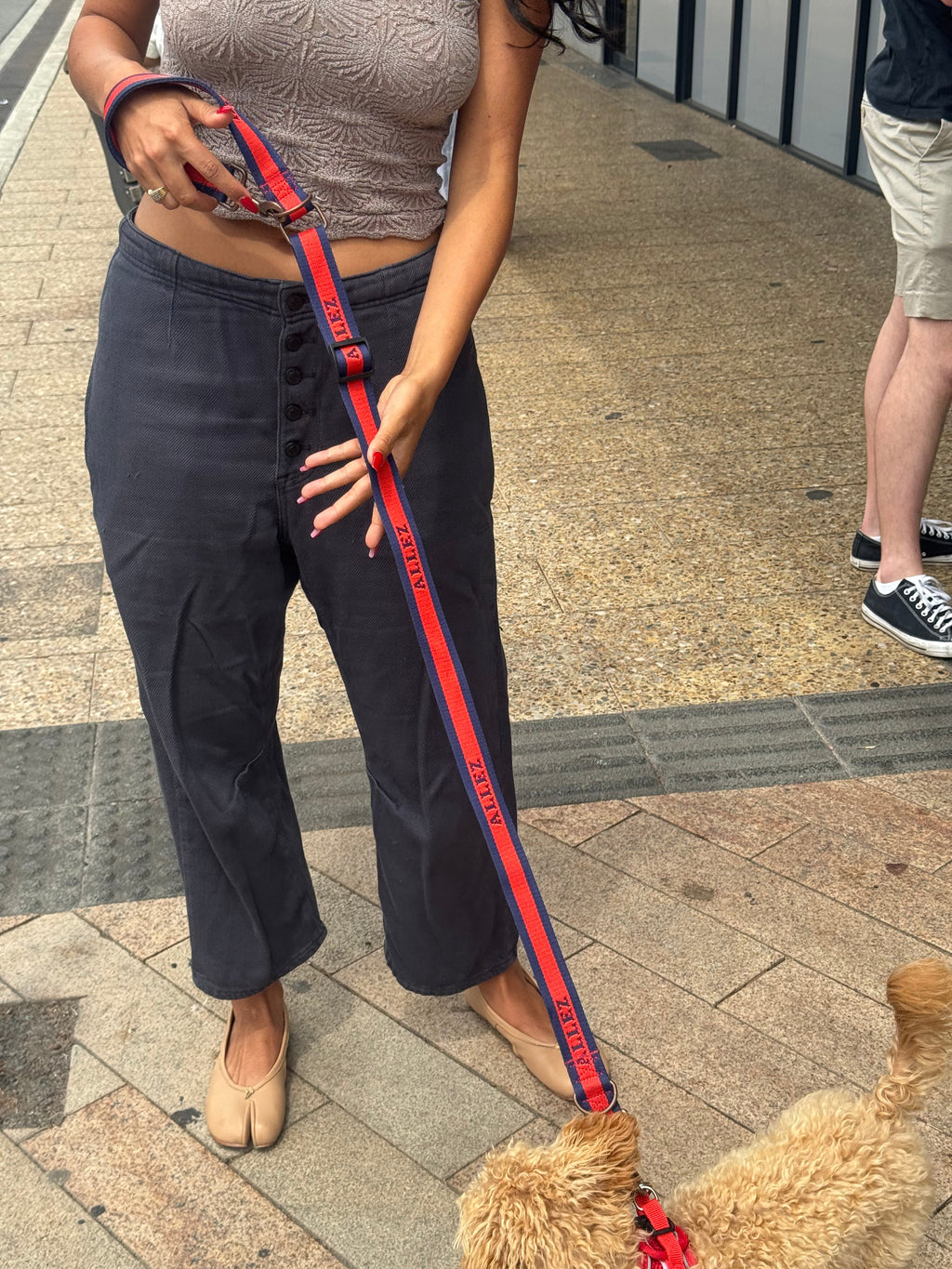 Hands-Free Dog Walking Belt, Lead & Collar Bundle - Everyday LIBERTE