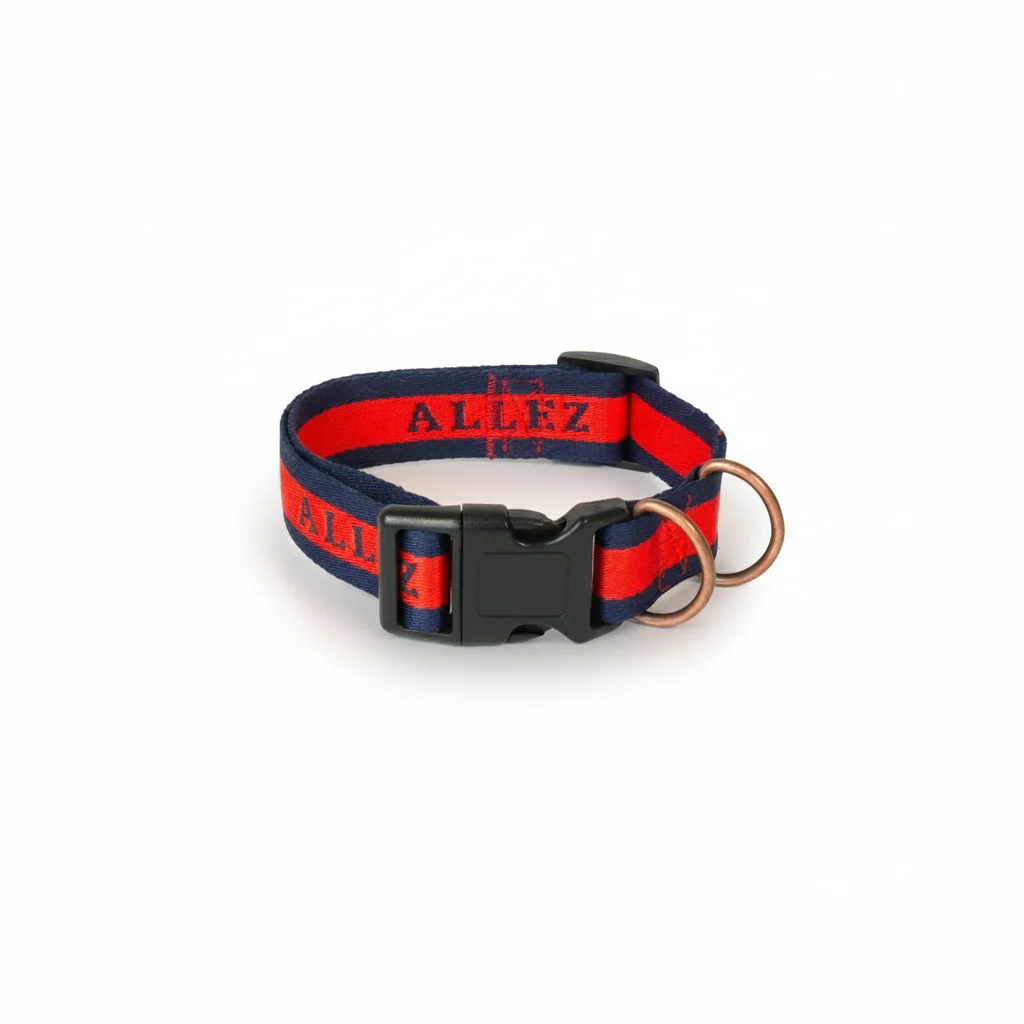 Hands-Free Dog Walking Belt, Lead & Collar Bundle - Everyday LIBERTE