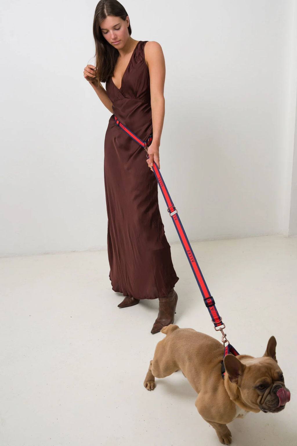 Hands-Free Dog Walking Belt, Lead & Collar Bundle - Everyday LIBERTE