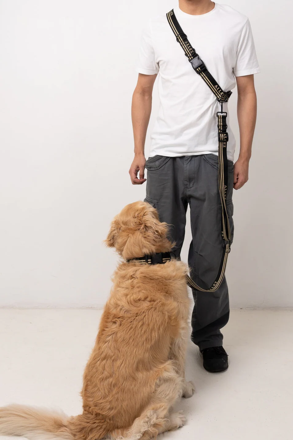 Hands Free Dog Walking Belt, Lead & Collar Bundle - Heavy Duty ADVENTURE