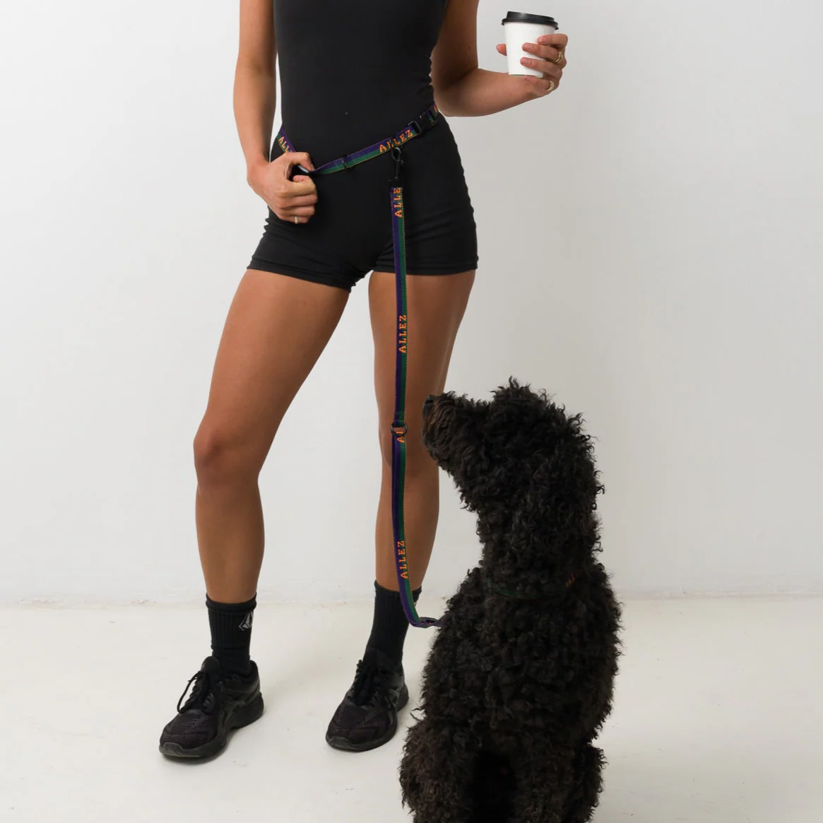 Hands Free Dog Walking Belt, Lead & Collar Bundle - Light Weight SPORT