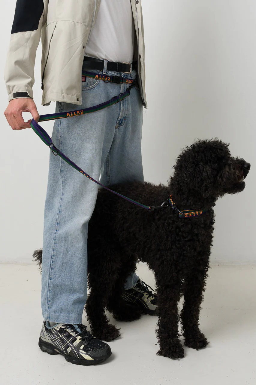 Hands Free Dog Walking Belt, Lead & Collar Bundle - Light Weight SPORT