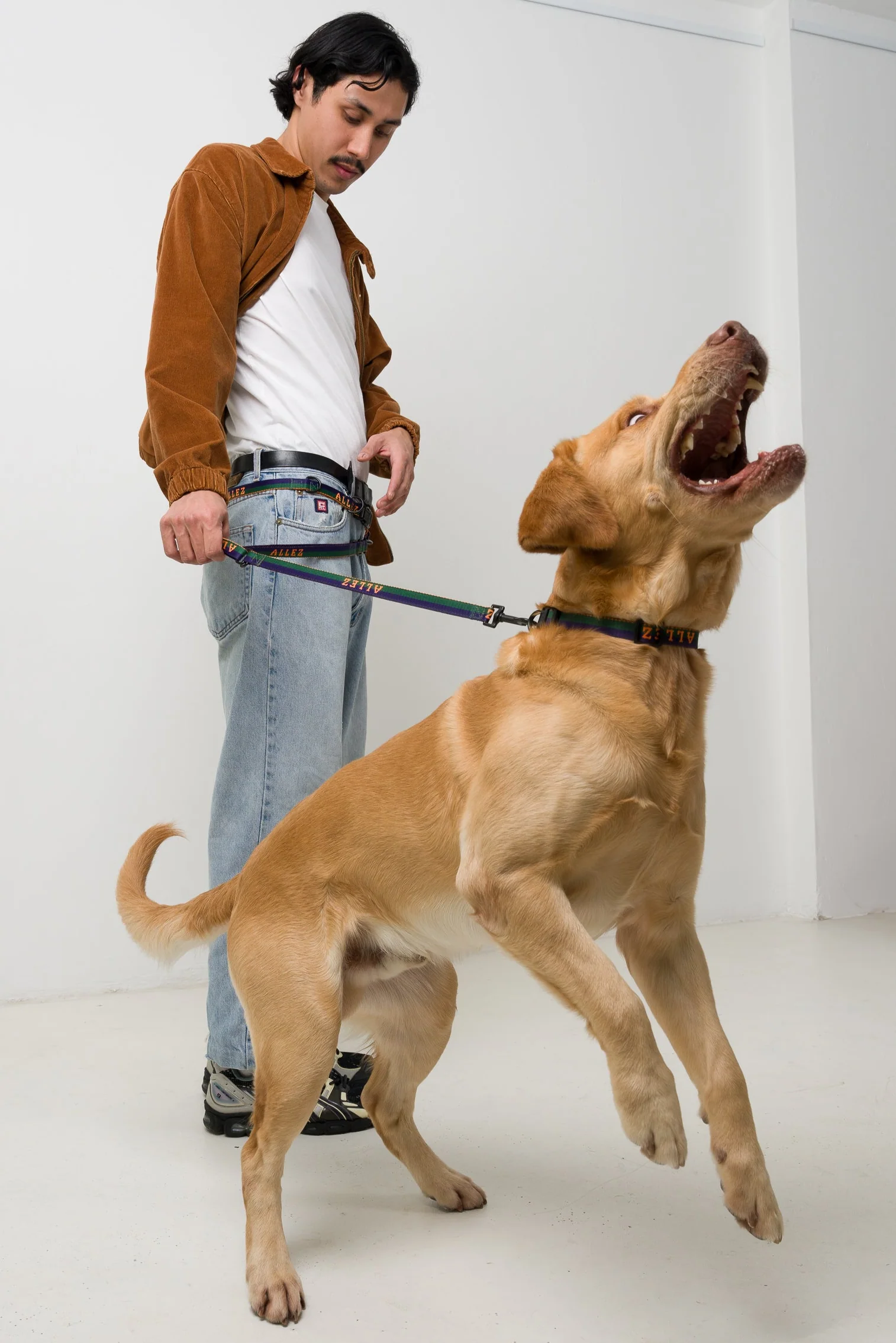 Hands Free Dog Walking Belt, Lead & Collar Bundle - Light Weight SPORT