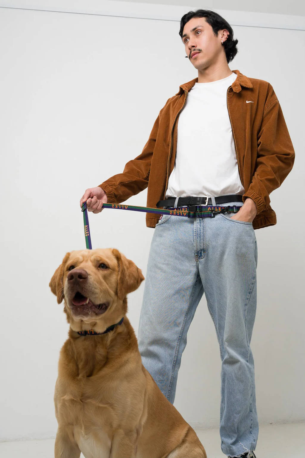 Hands Free Dog Walking Belt, Lead & Collar Bundle - Light Weight SPORT