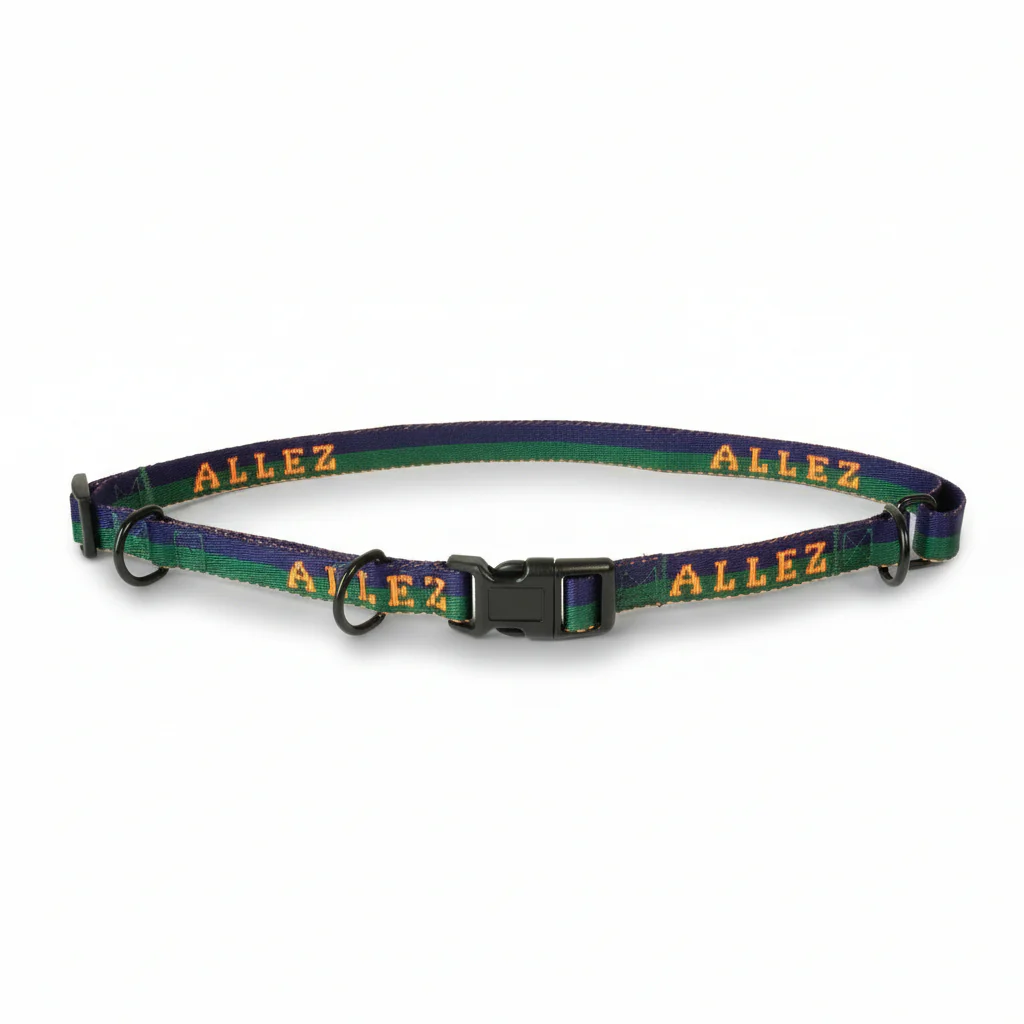 Hands Free Dog Walking Belt, Lead & Collar Bundle - Light Weight SPORT