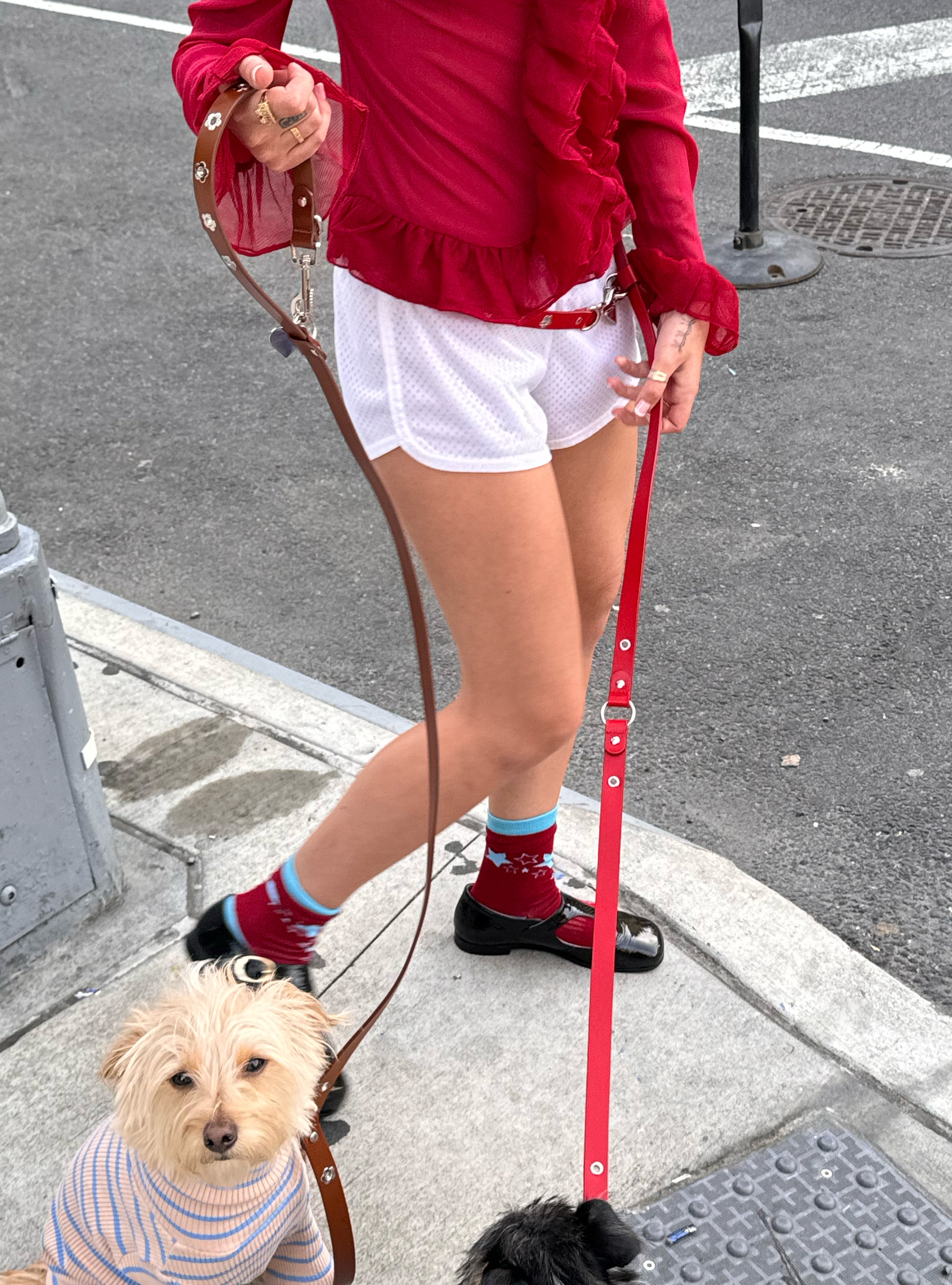 Hazel - Flower Power Leash