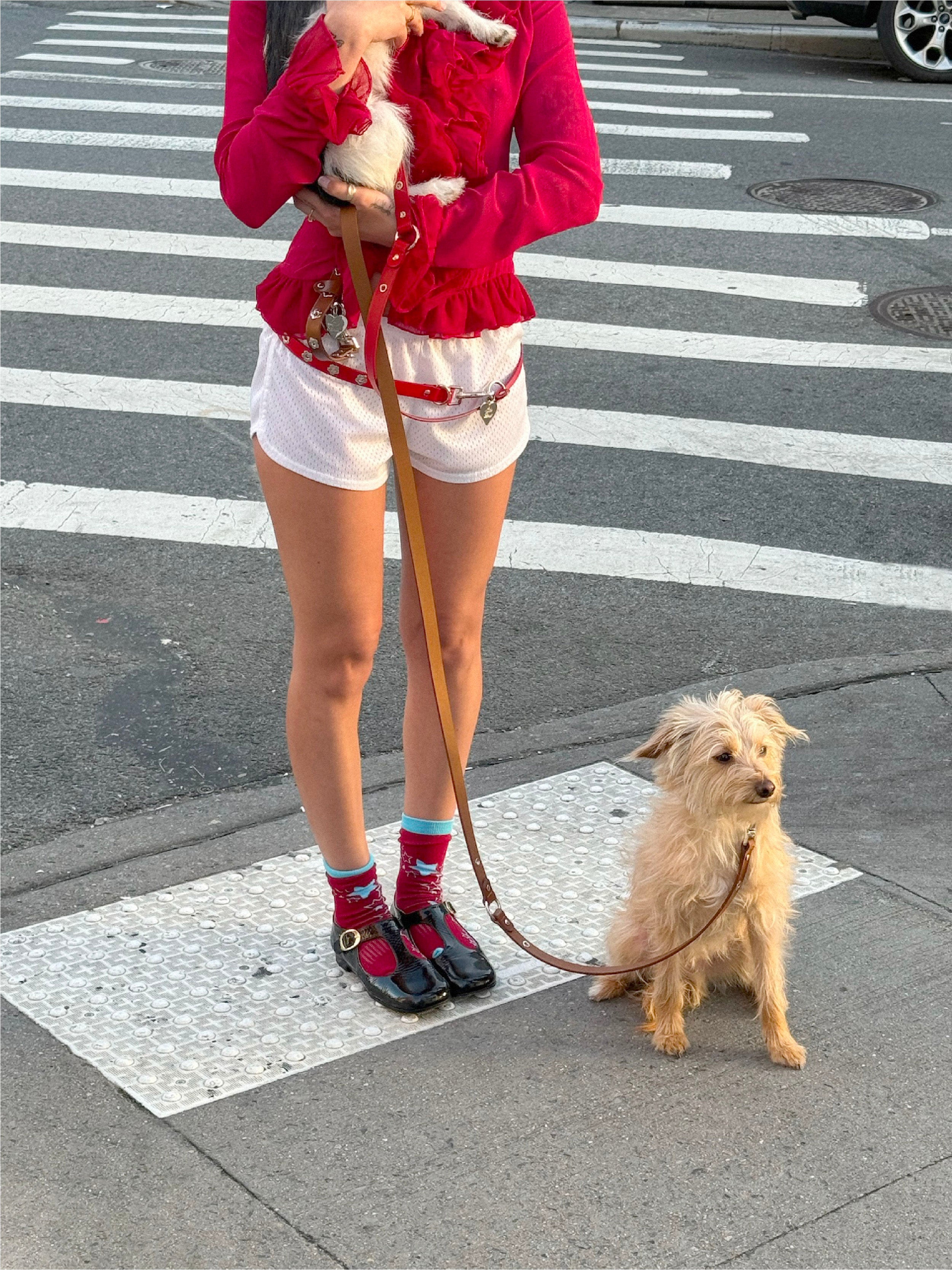 Hazel - Flower Power Leash