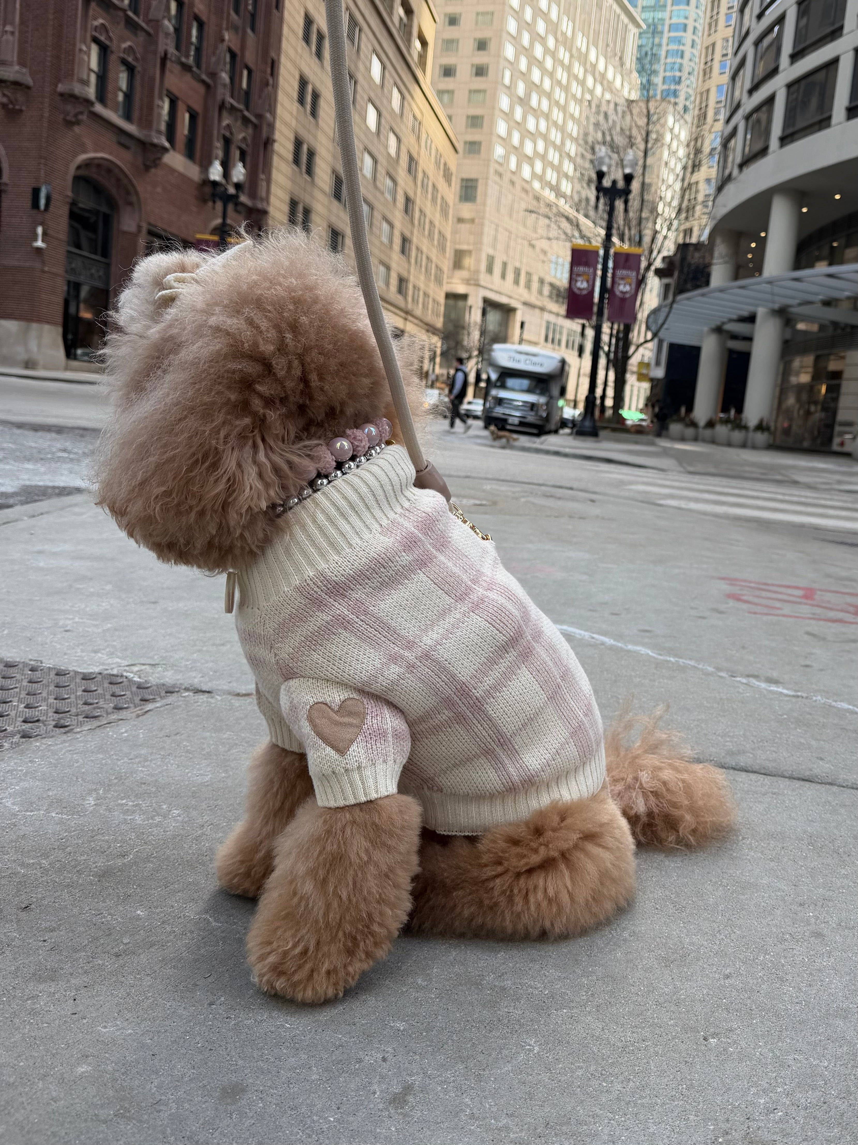 Hearthmauve Dog Sweater