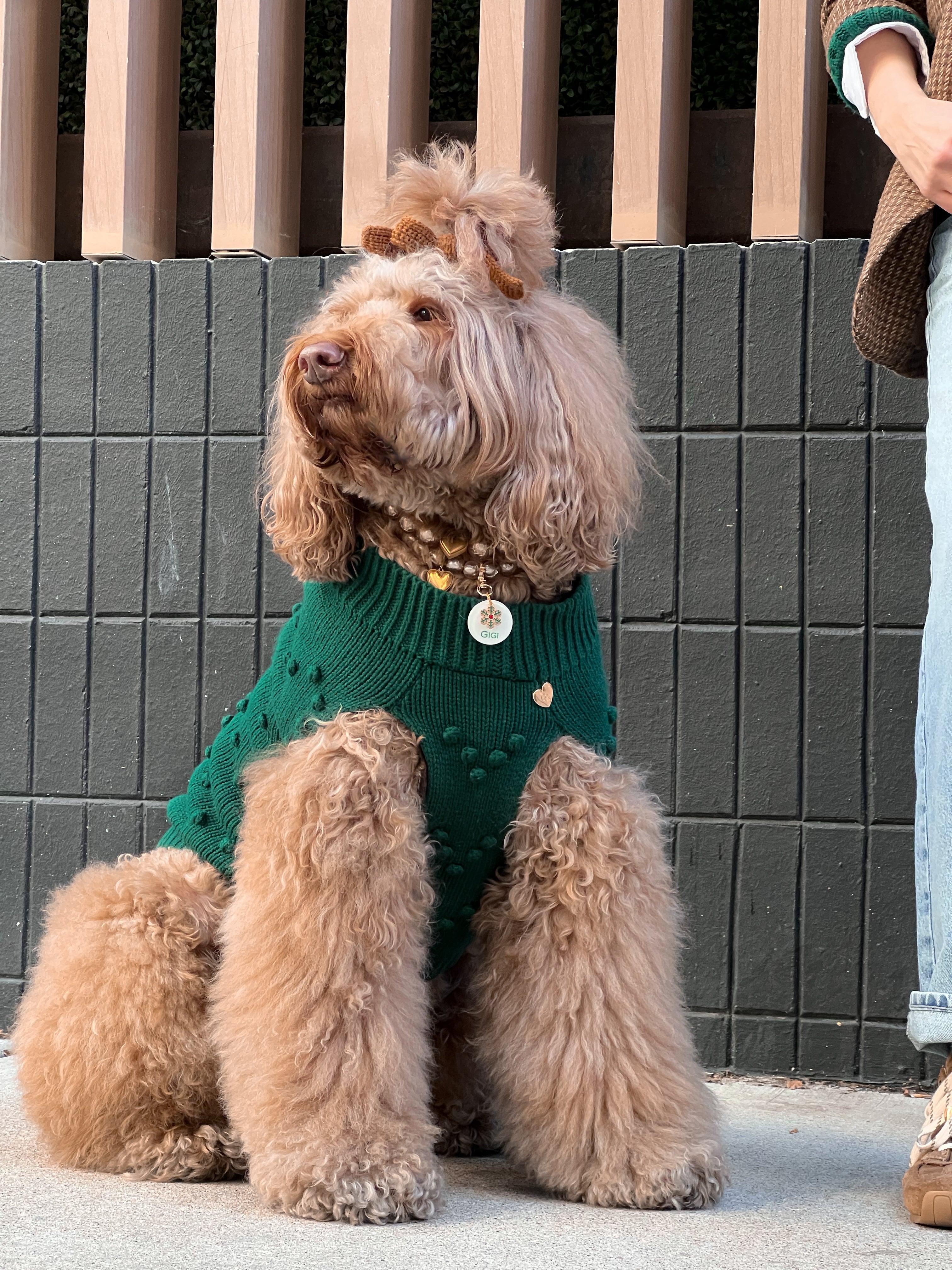 Heartknit Dog Sweater - Evergreen