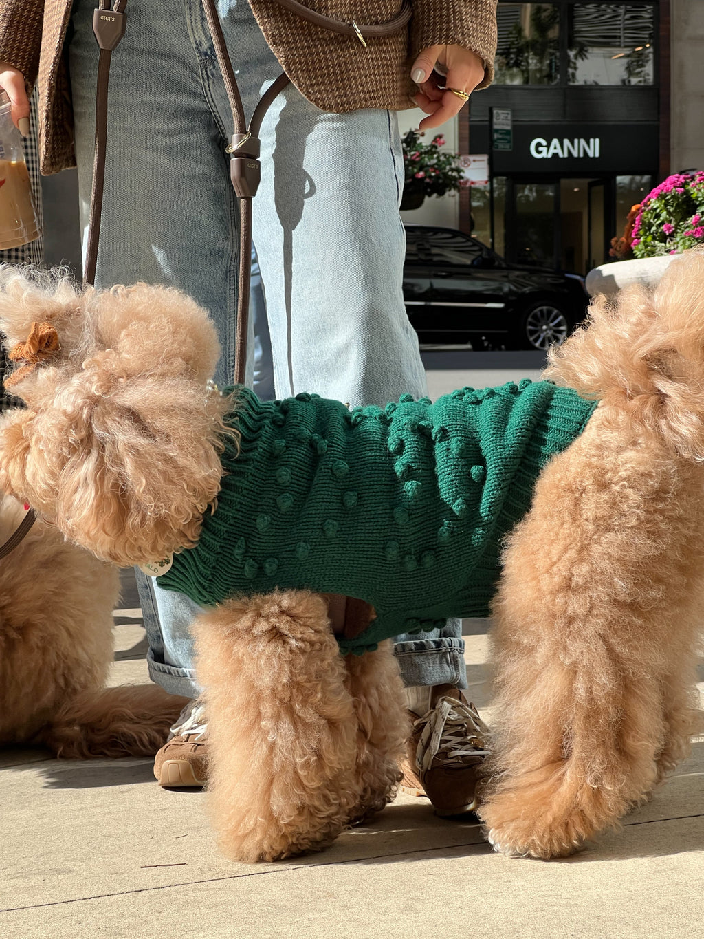 Heartknit Dog Sweater - Evergreen