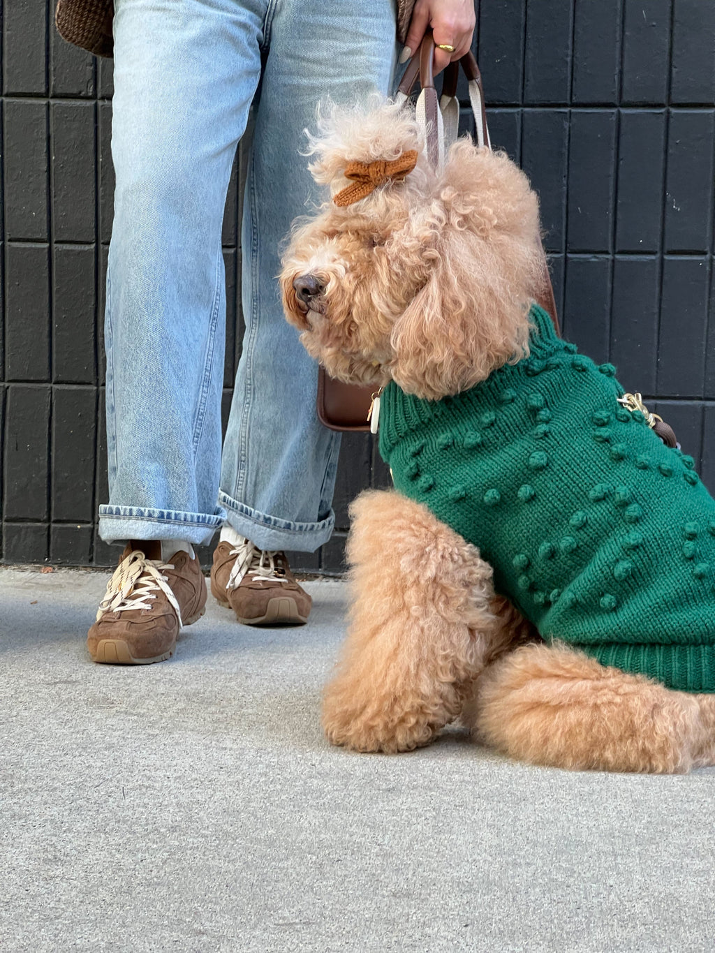 Heartknit Dog Sweater - Evergreen