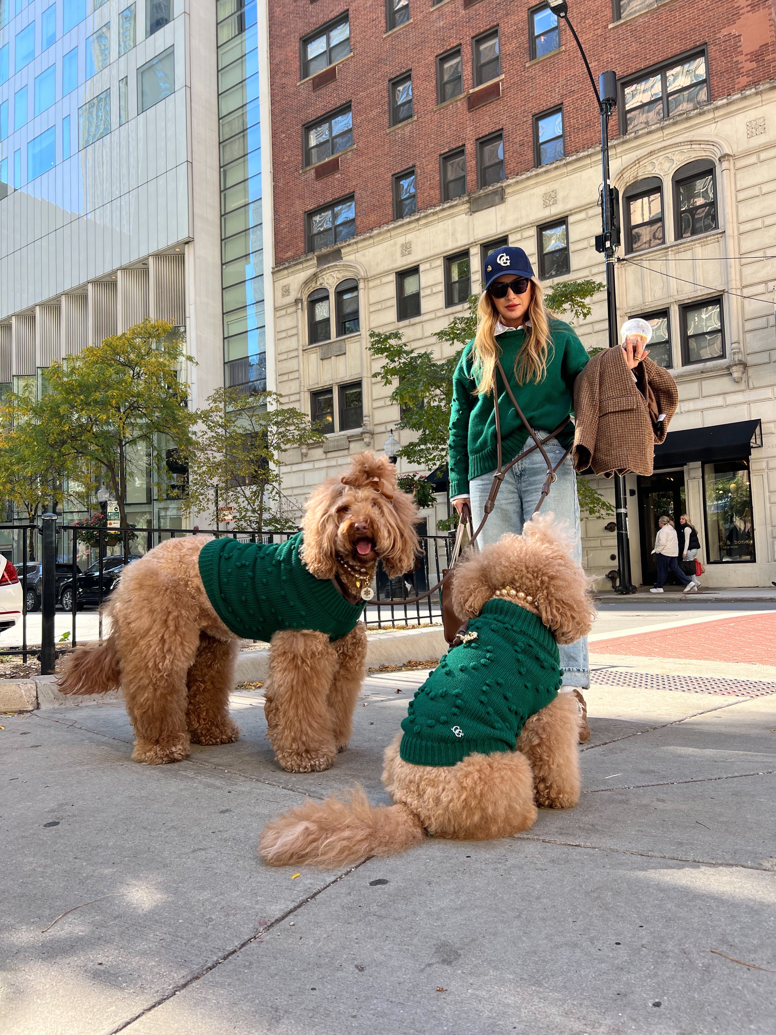 Heartknit Dog Sweater - Evergreen
