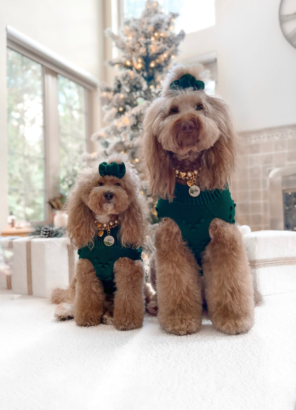 Heartknit Dog Sweater - Evergreen