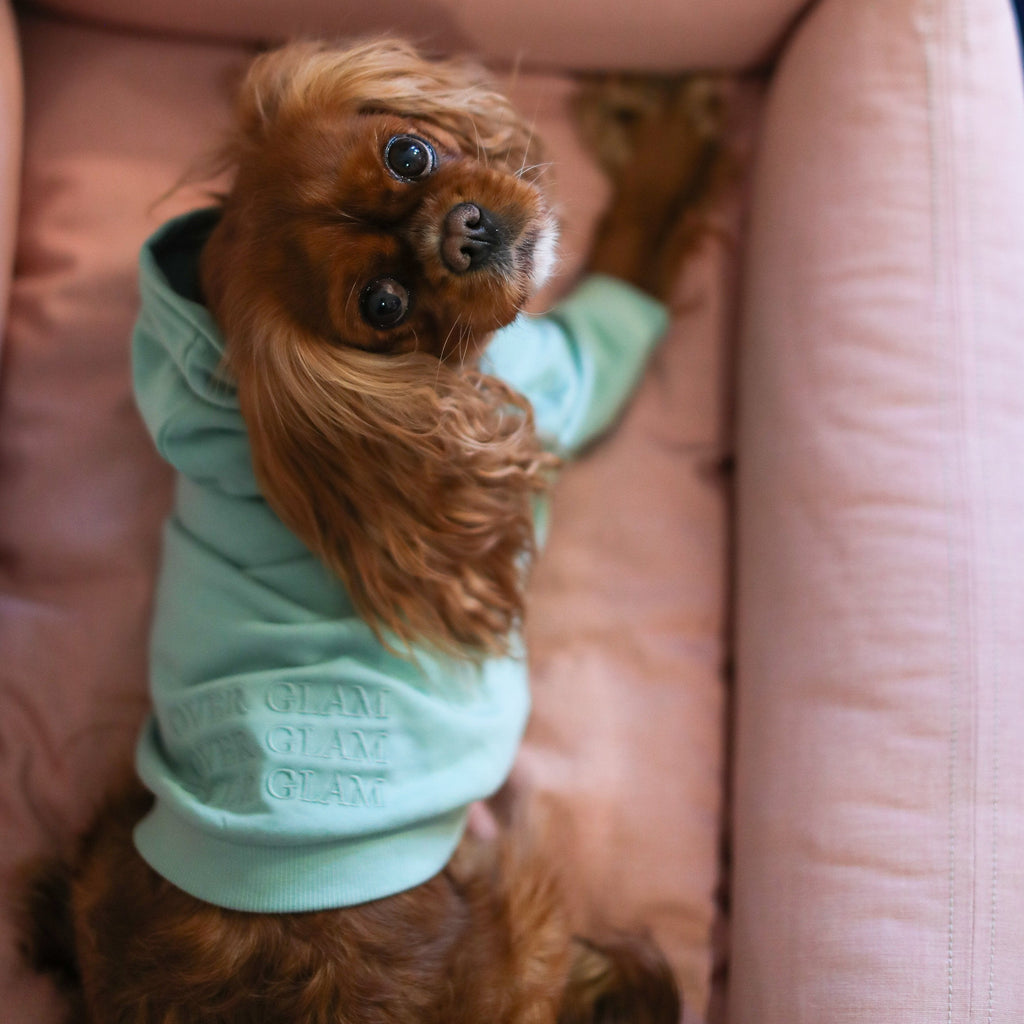 Hoodie with  Embroidered