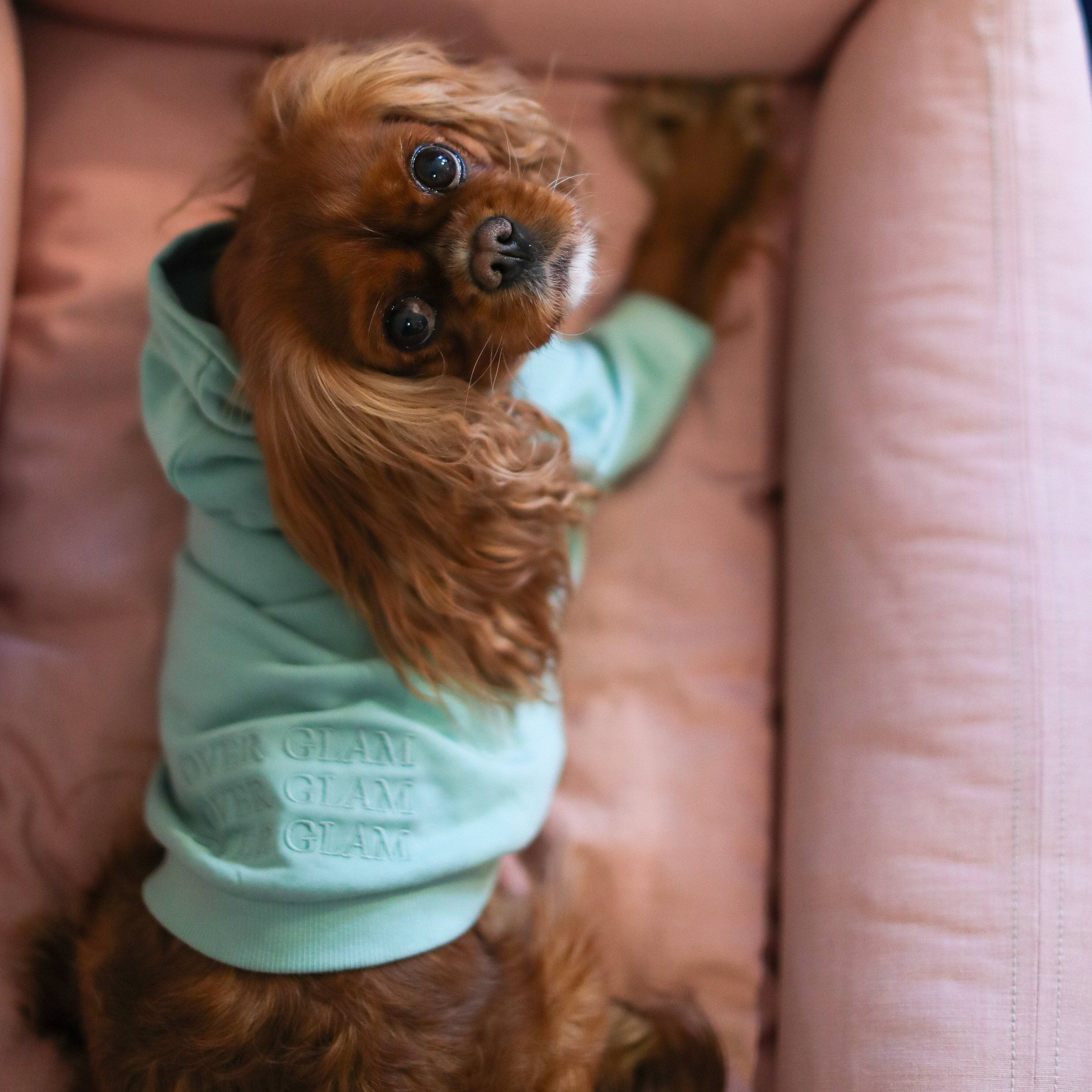 Hoodie with  Embroidered