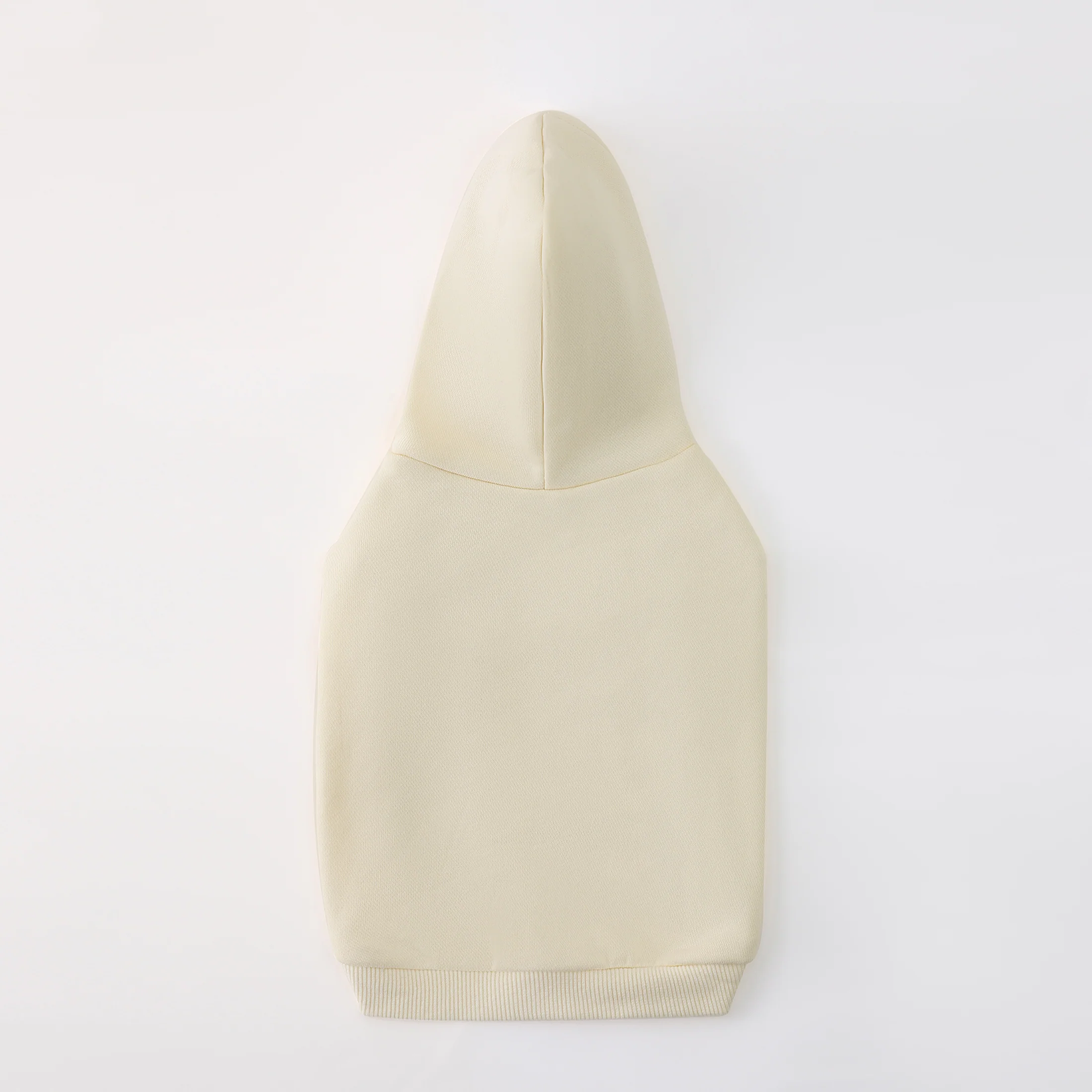 Hoodie with Slogan