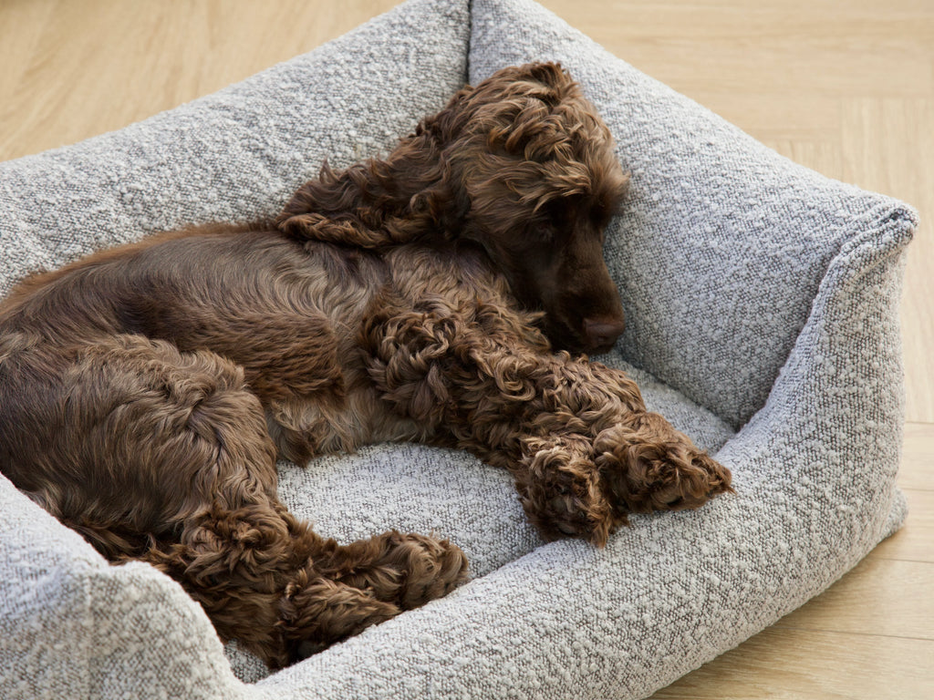 BILLY Bouclé Dog Bed Taupe