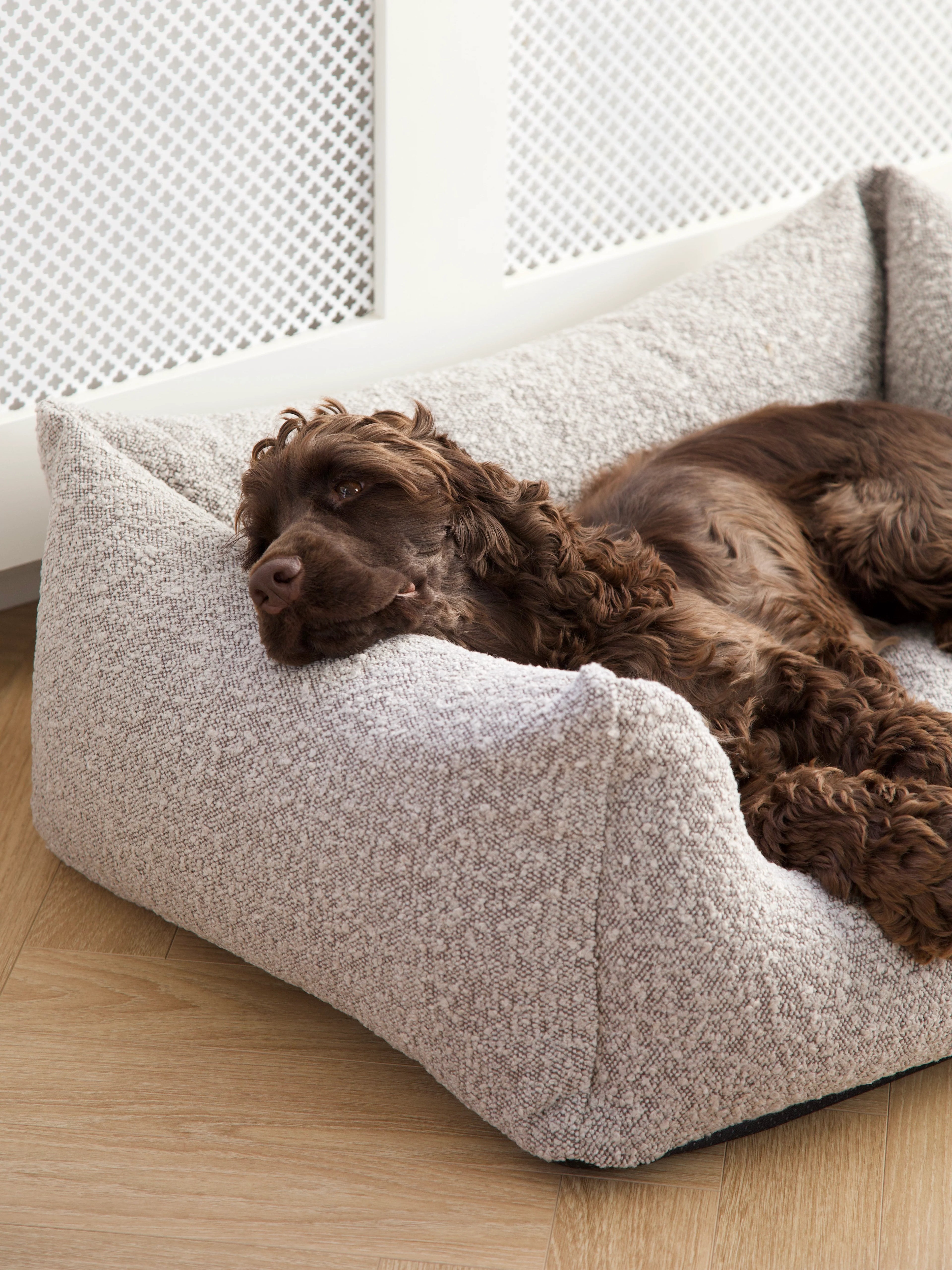BILLY Bouclé Dog Bed Taupe