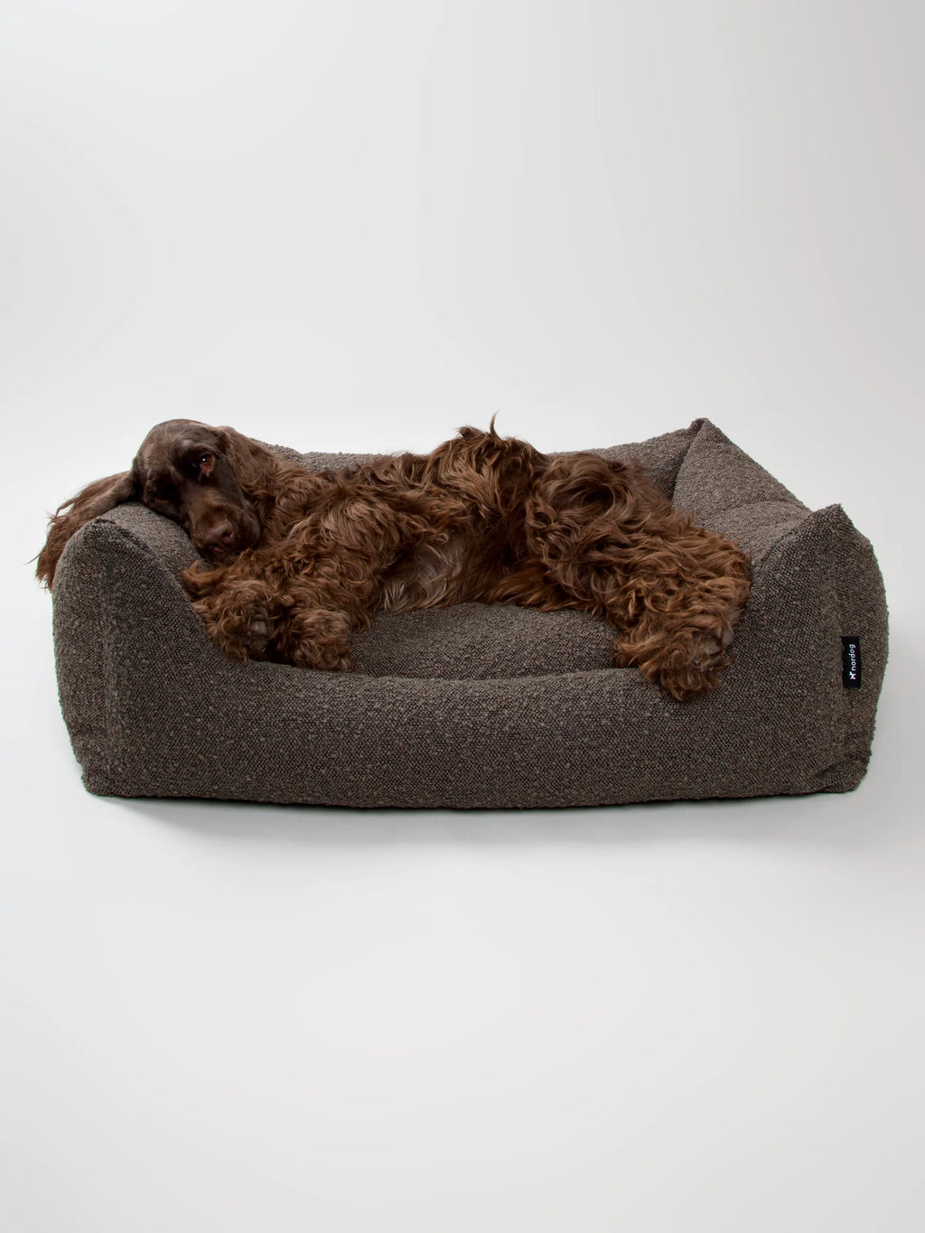 BILLY Bouclé Dog Bed Mocca