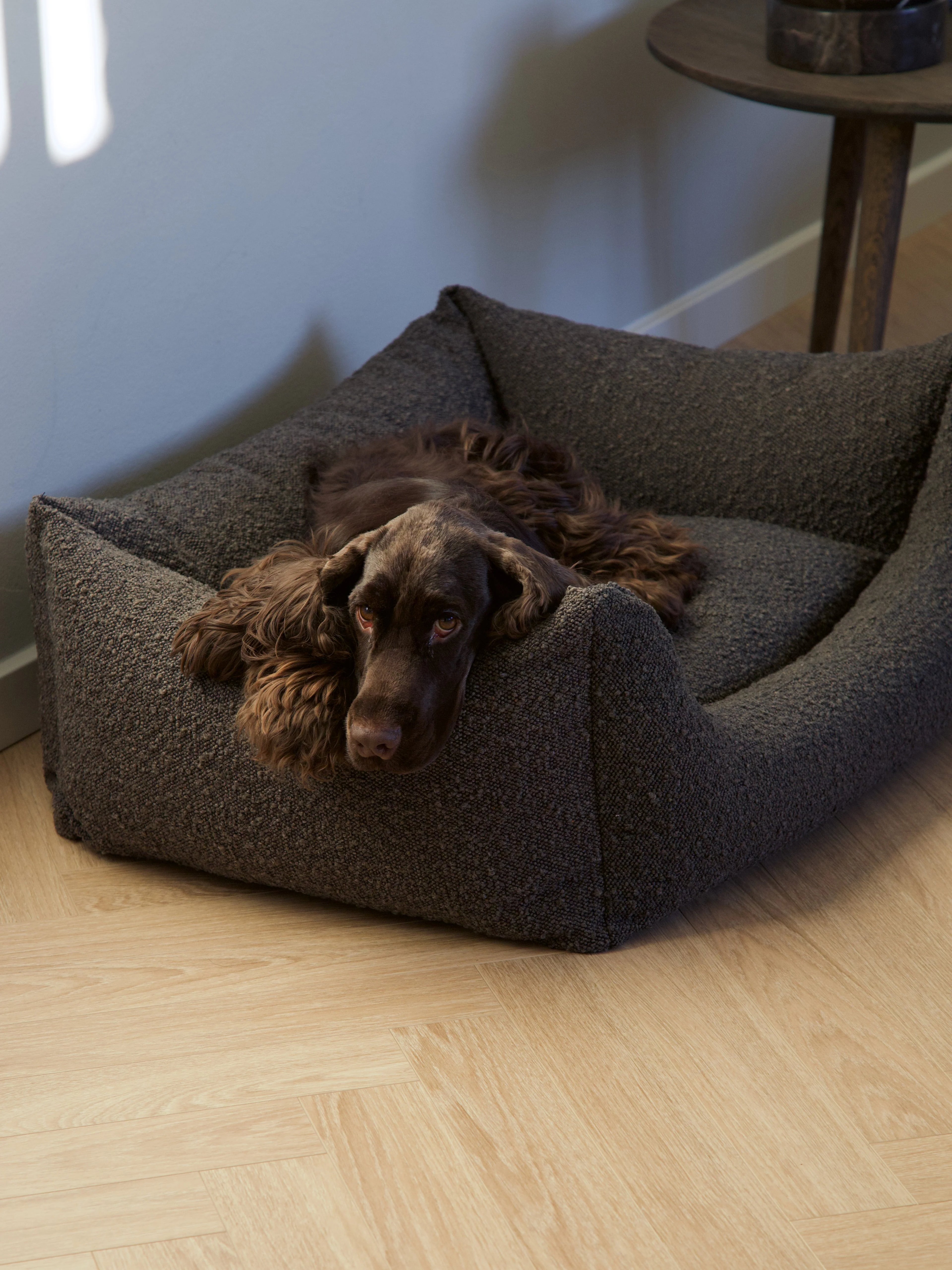 BILLY Bouclé Dog Bed Mocca