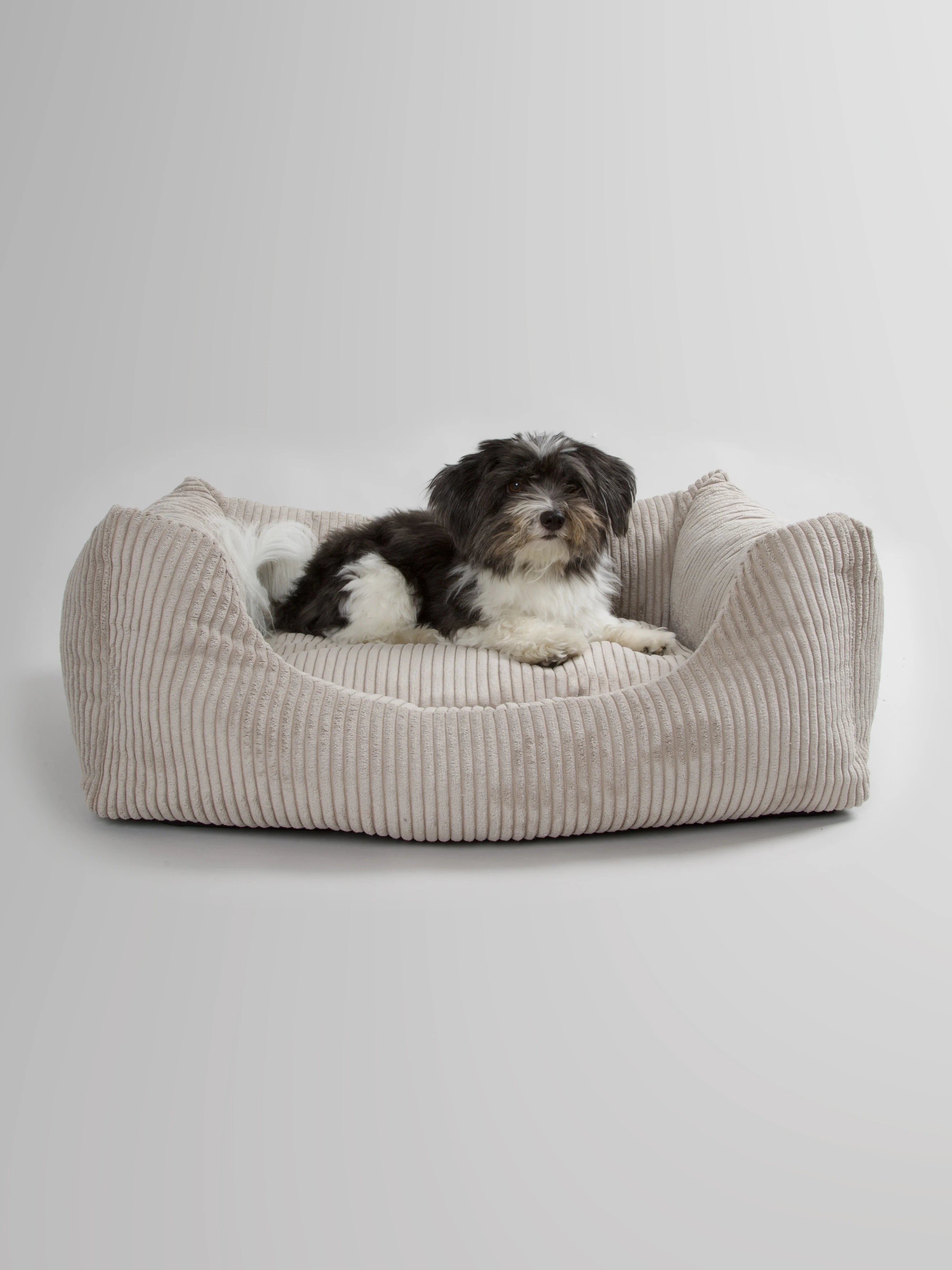 OSCAR Velvet Dog Bed Cappuccino