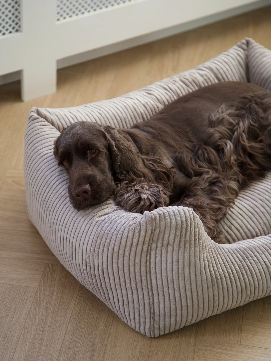 OSCAR Velvet Dog Bed Cappuccino
