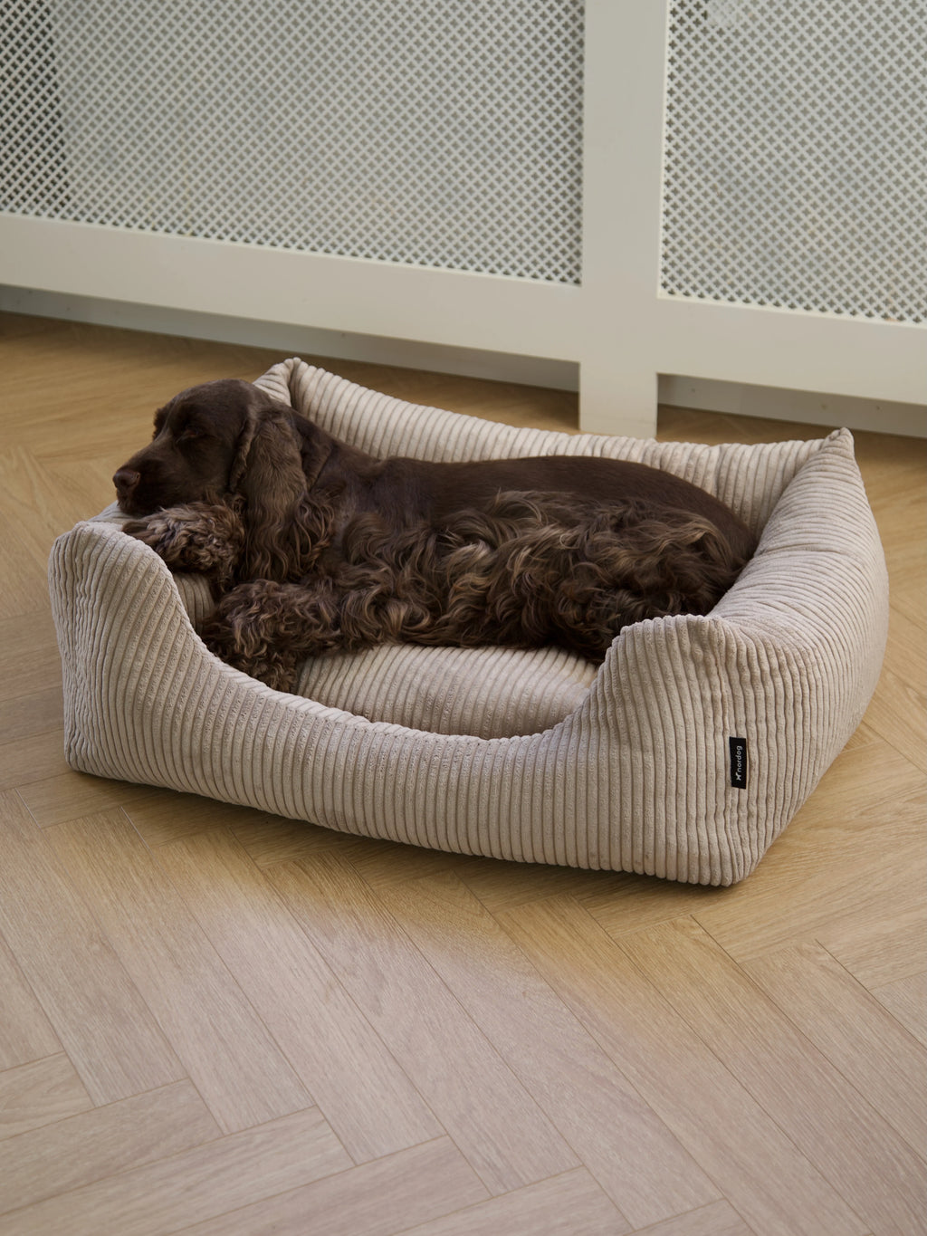 OSCAR Velvet Dog Bed Cappuccino