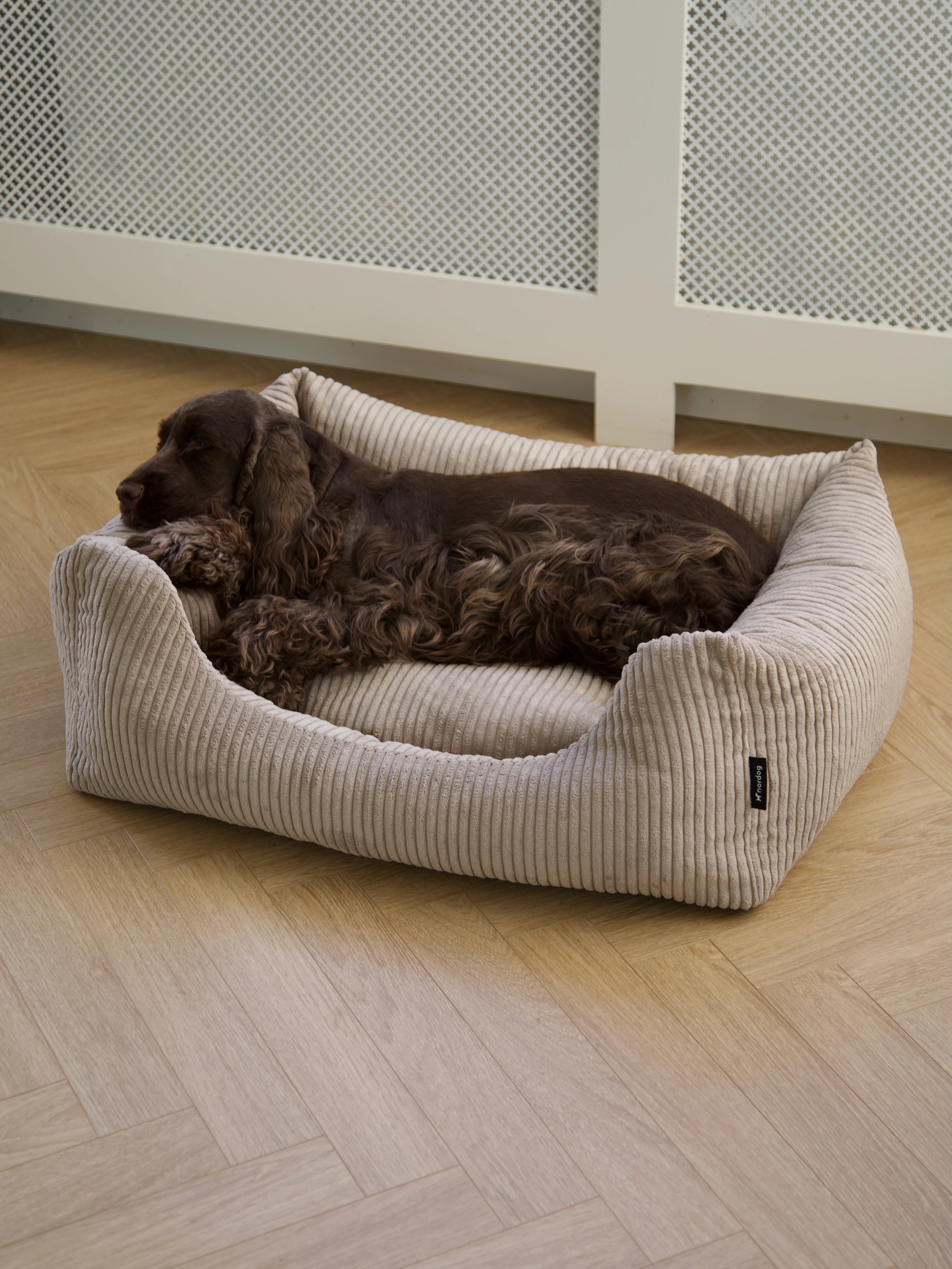 OSCAR Velvet Dog Bed Cappuccino