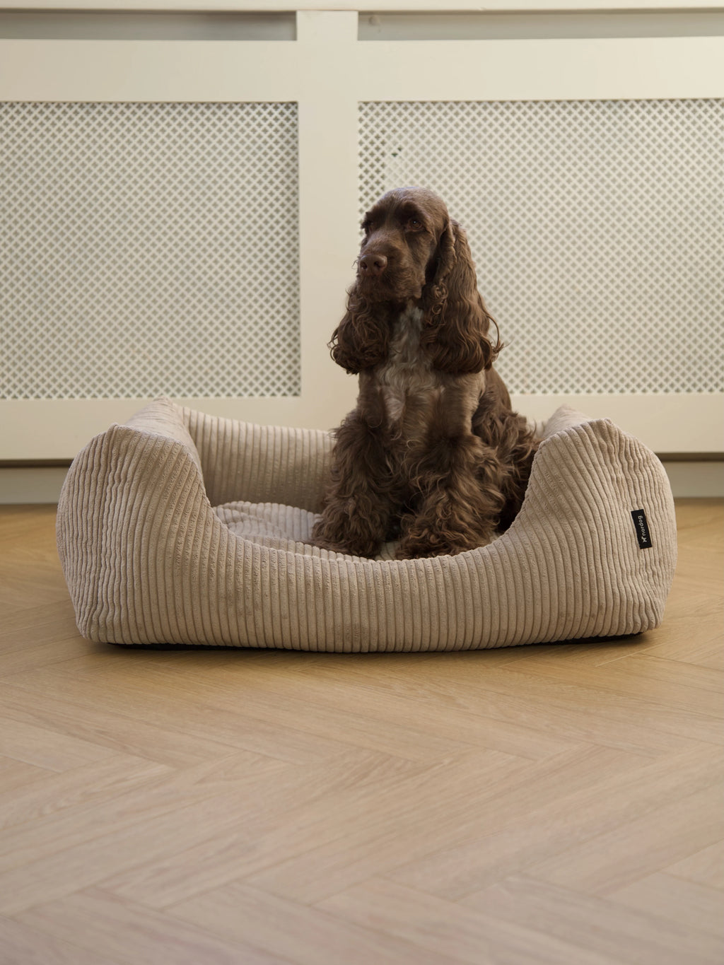 OSCAR Velvet Dog Bed Cappuccino