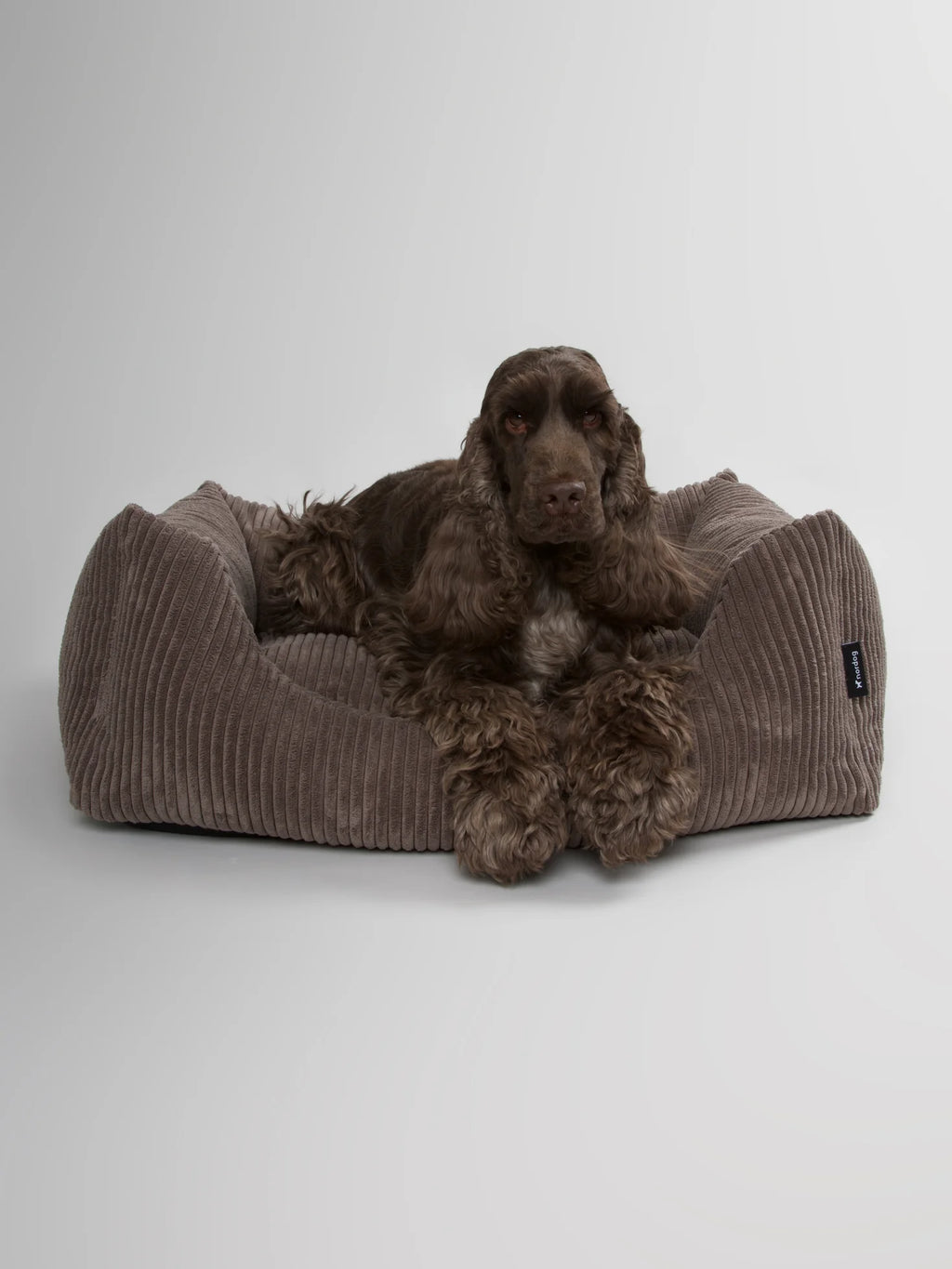 OSCAR Velvet Dog Bed Mocca