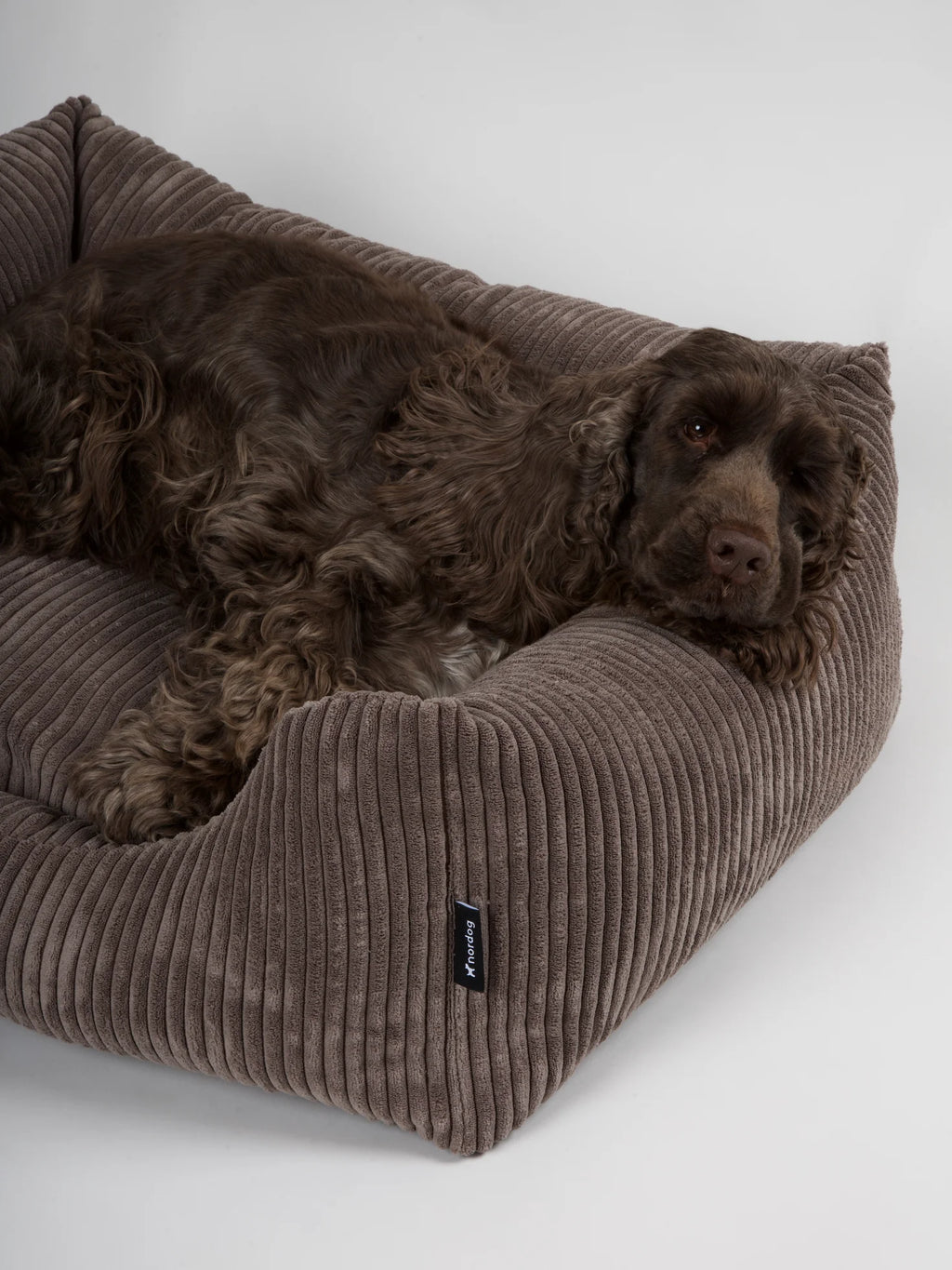 OSCAR Velvet Dog Bed Mocca