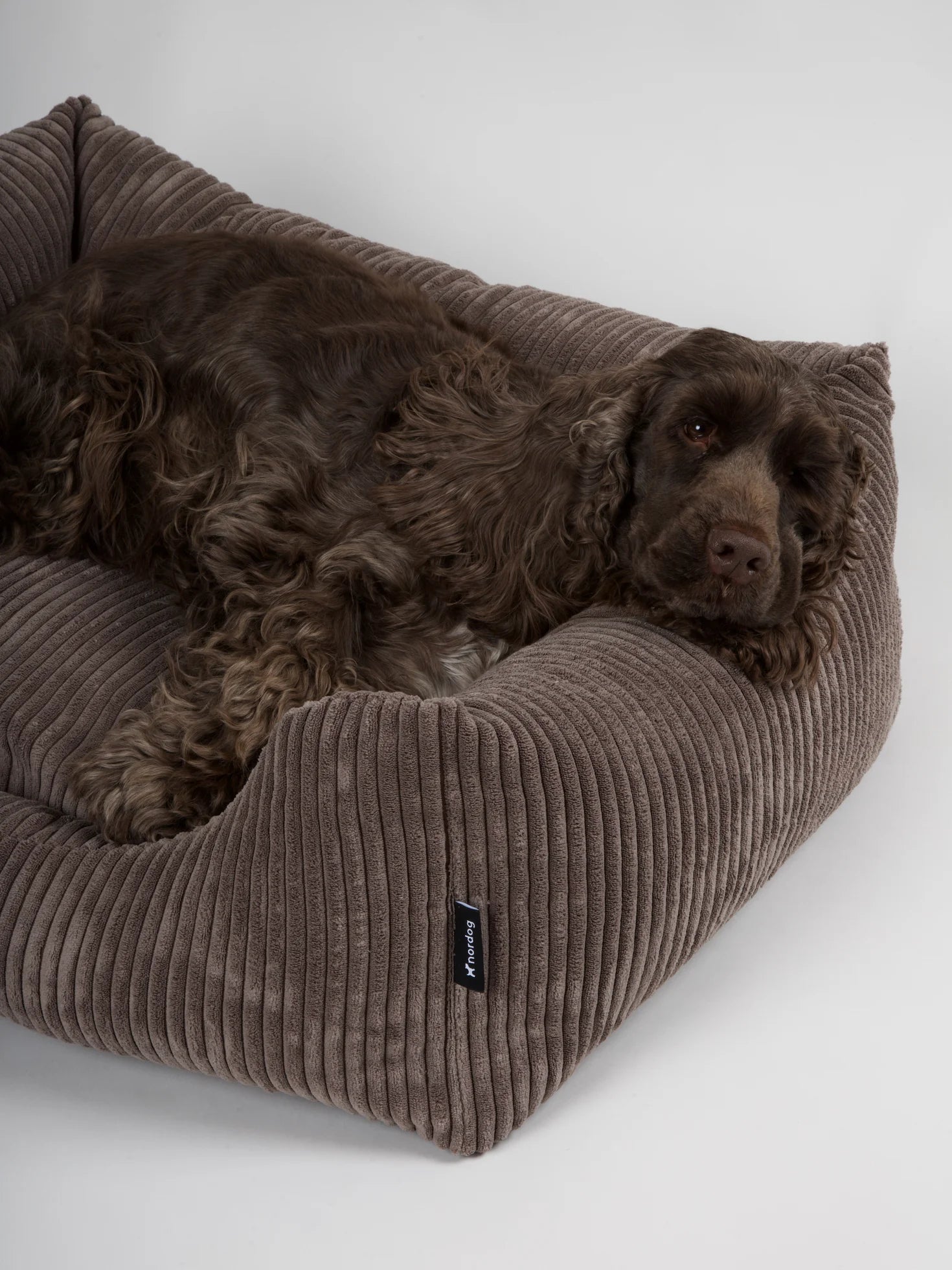 OSCAR Velvet Dog Bed Mocca