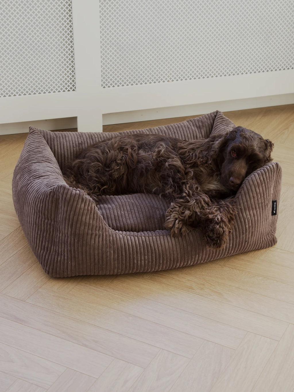 OSCAR Velvet Dog Bed Mocca