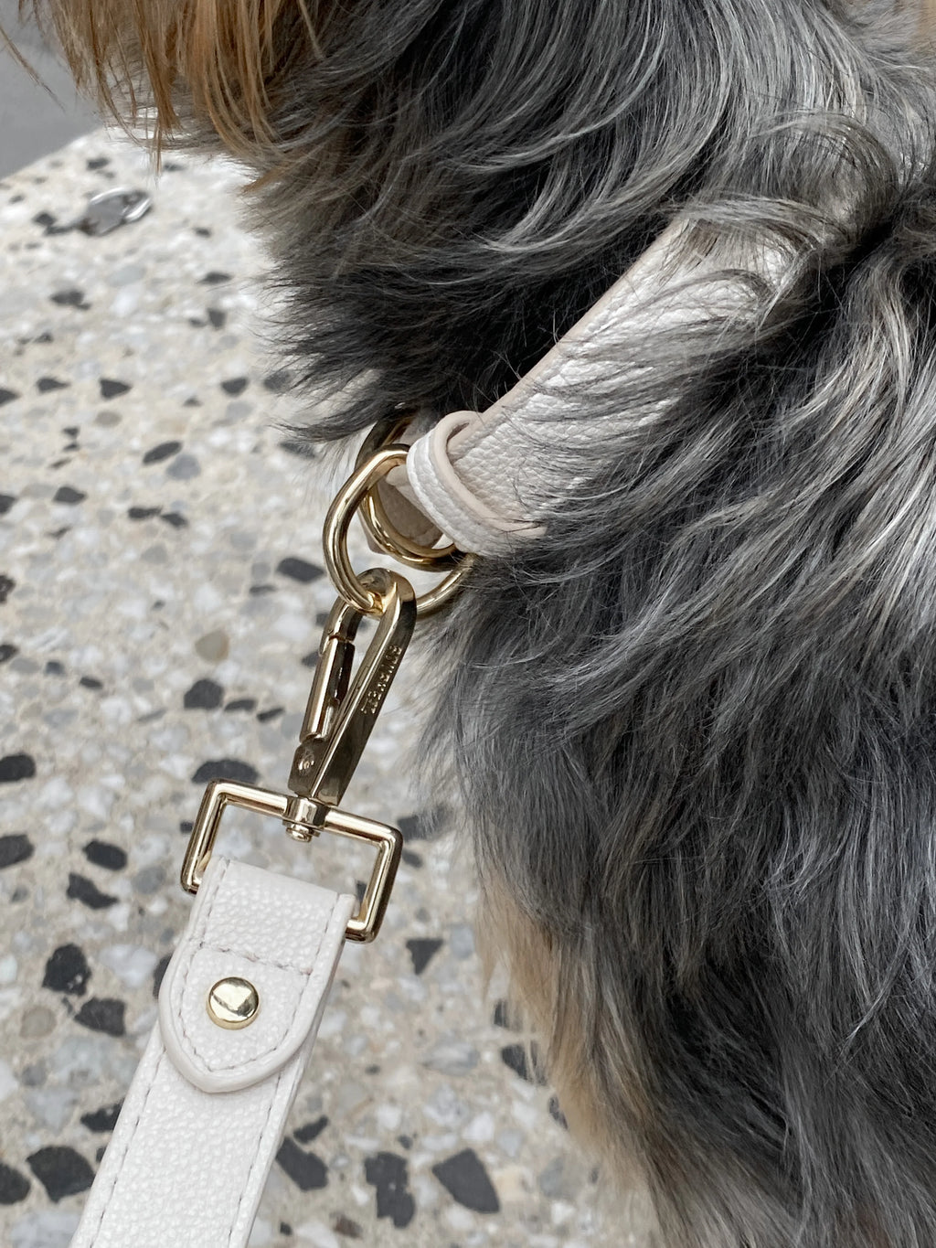 Dog Collar - Cream