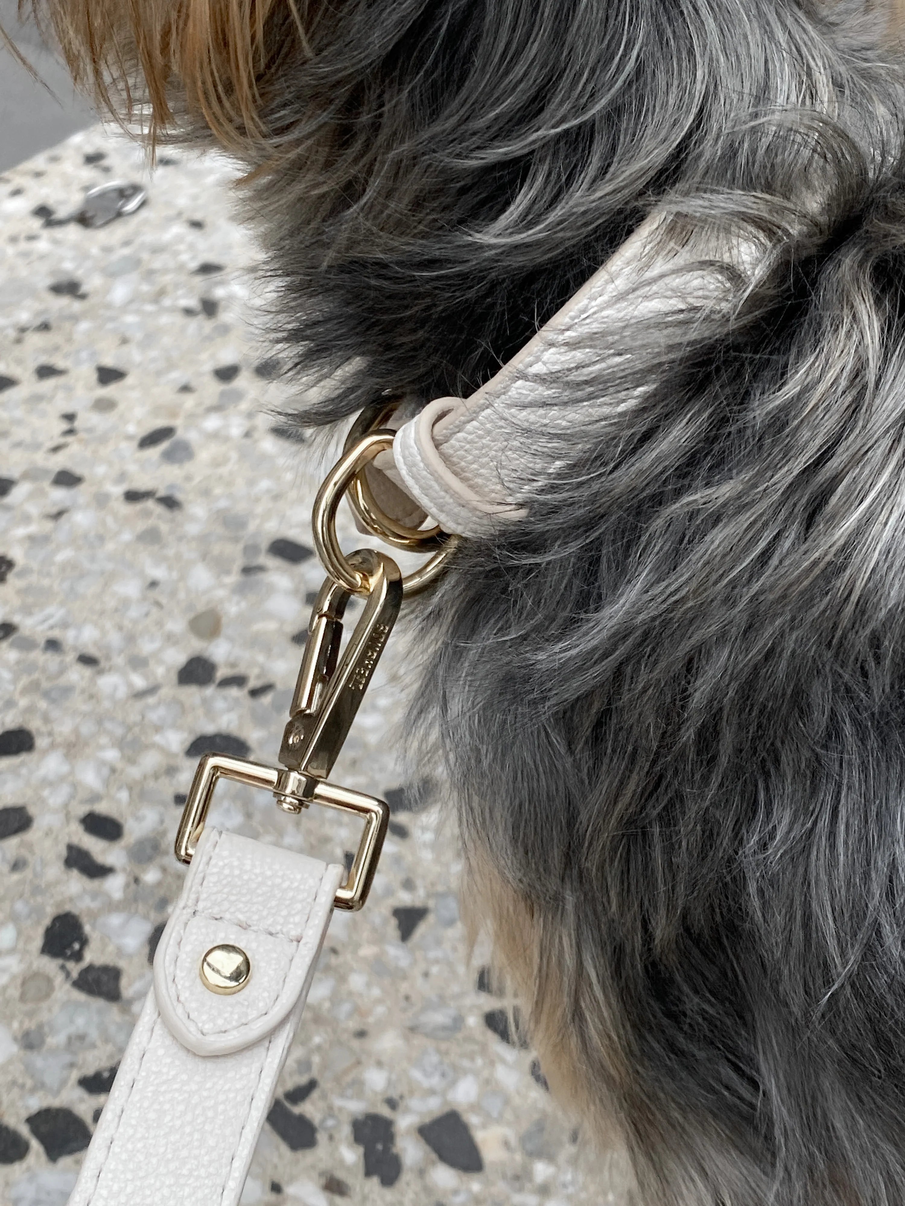 Dog Collar - Cream