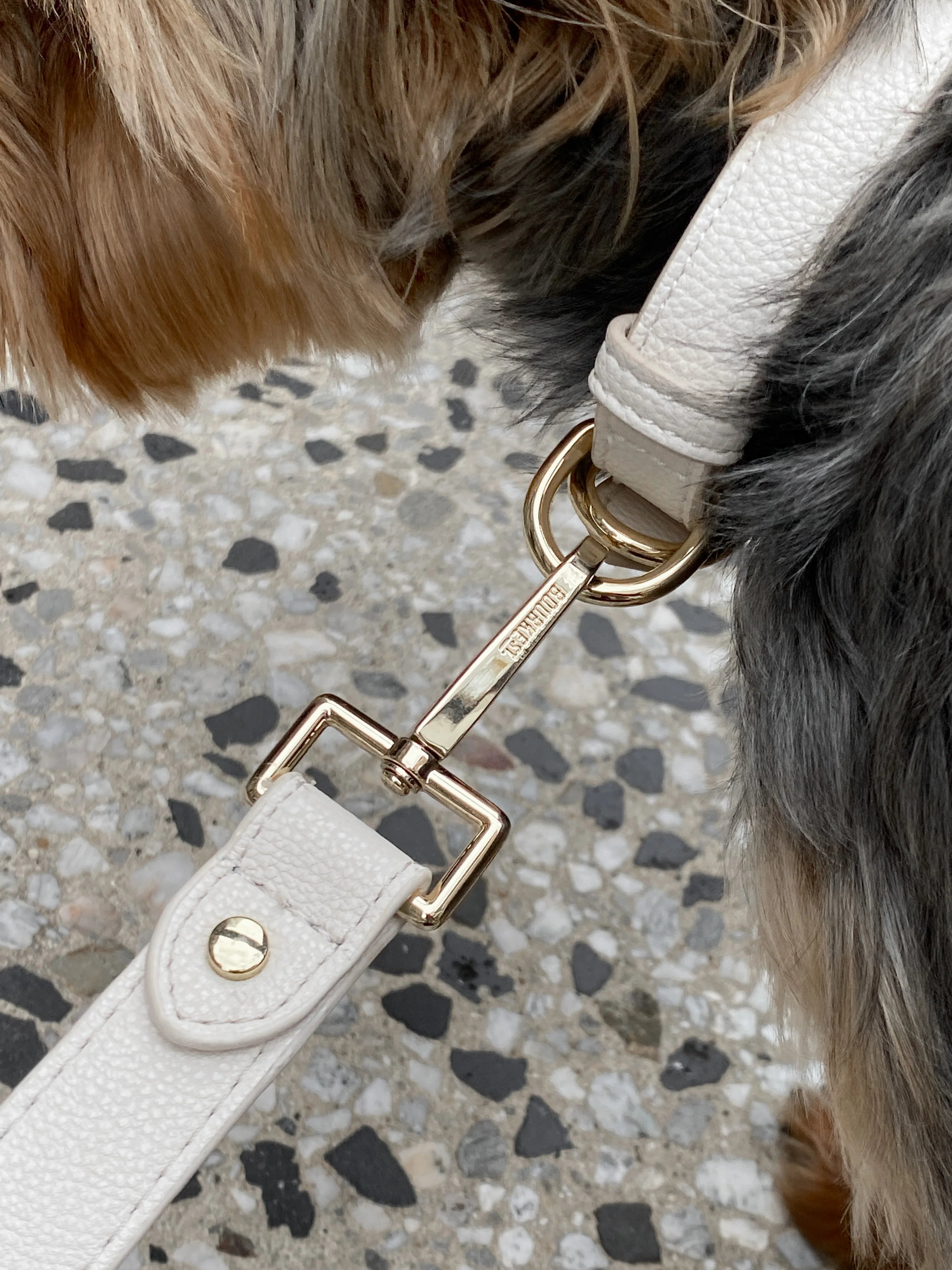 Signature Circle Dog Lead - Cream