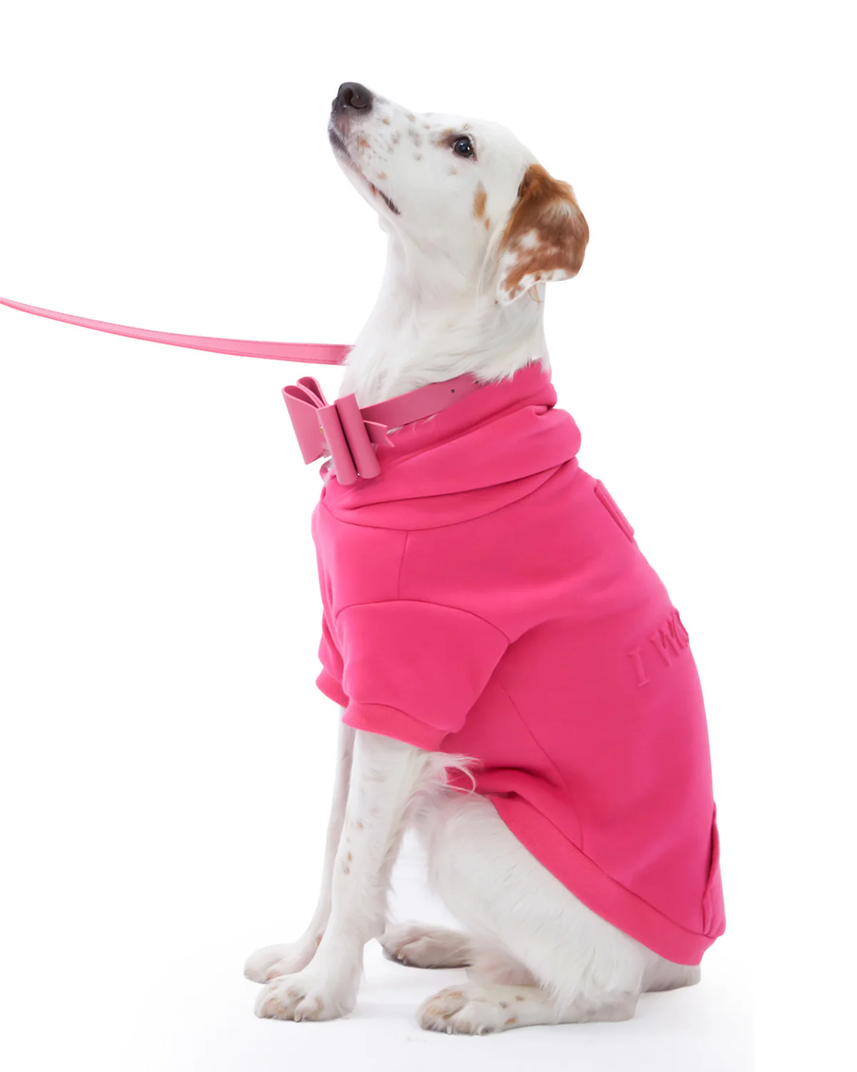 I Woof U Dog Hoodie