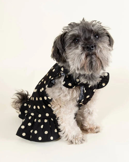Gigi Black + Ivory Polka Dot Dress