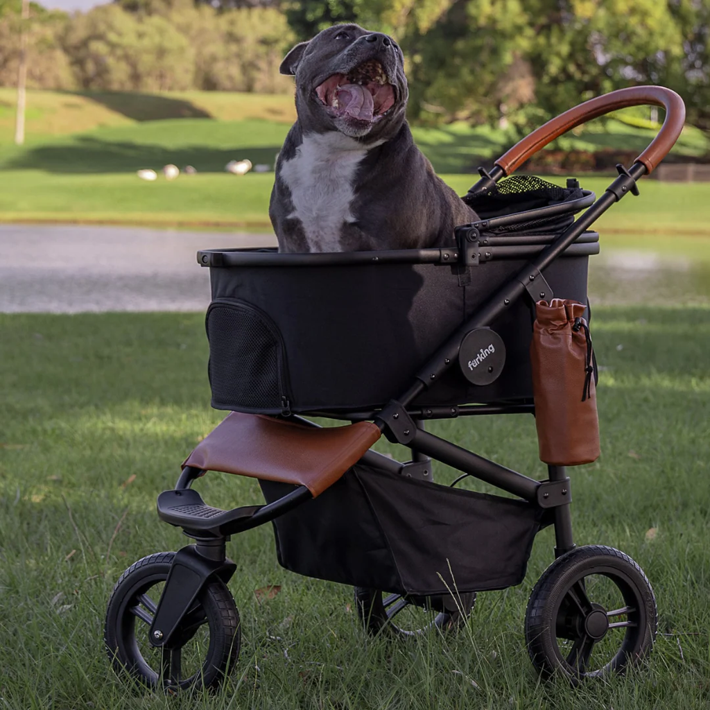 Jogger Dog Pram