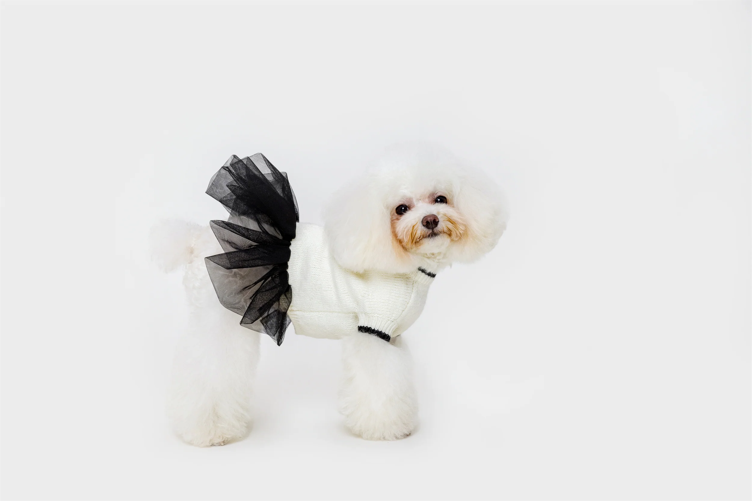 Jumper with Skirt