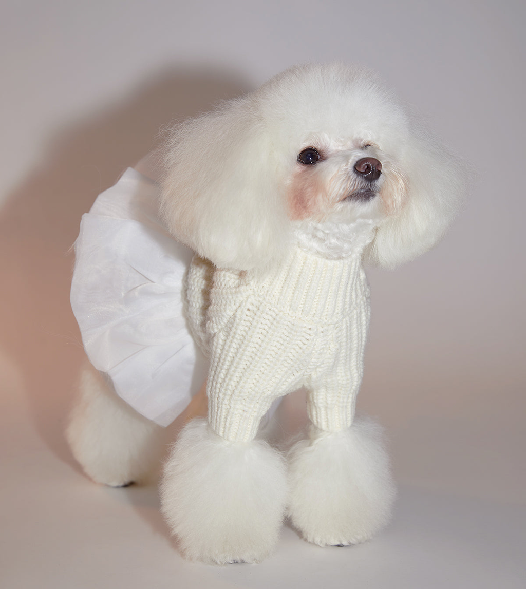 Knitwear with Skirt