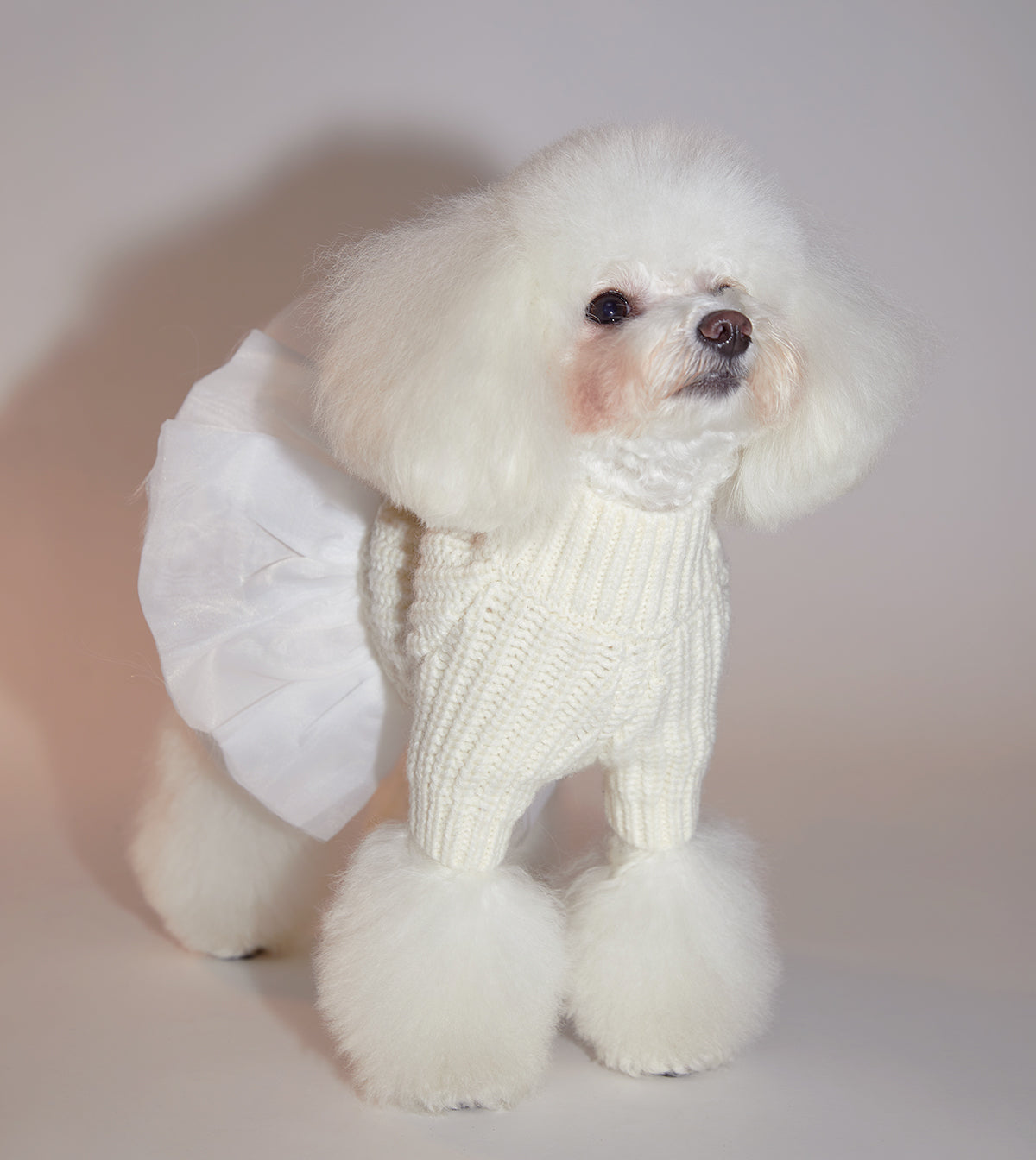 Knitwear with Skirt