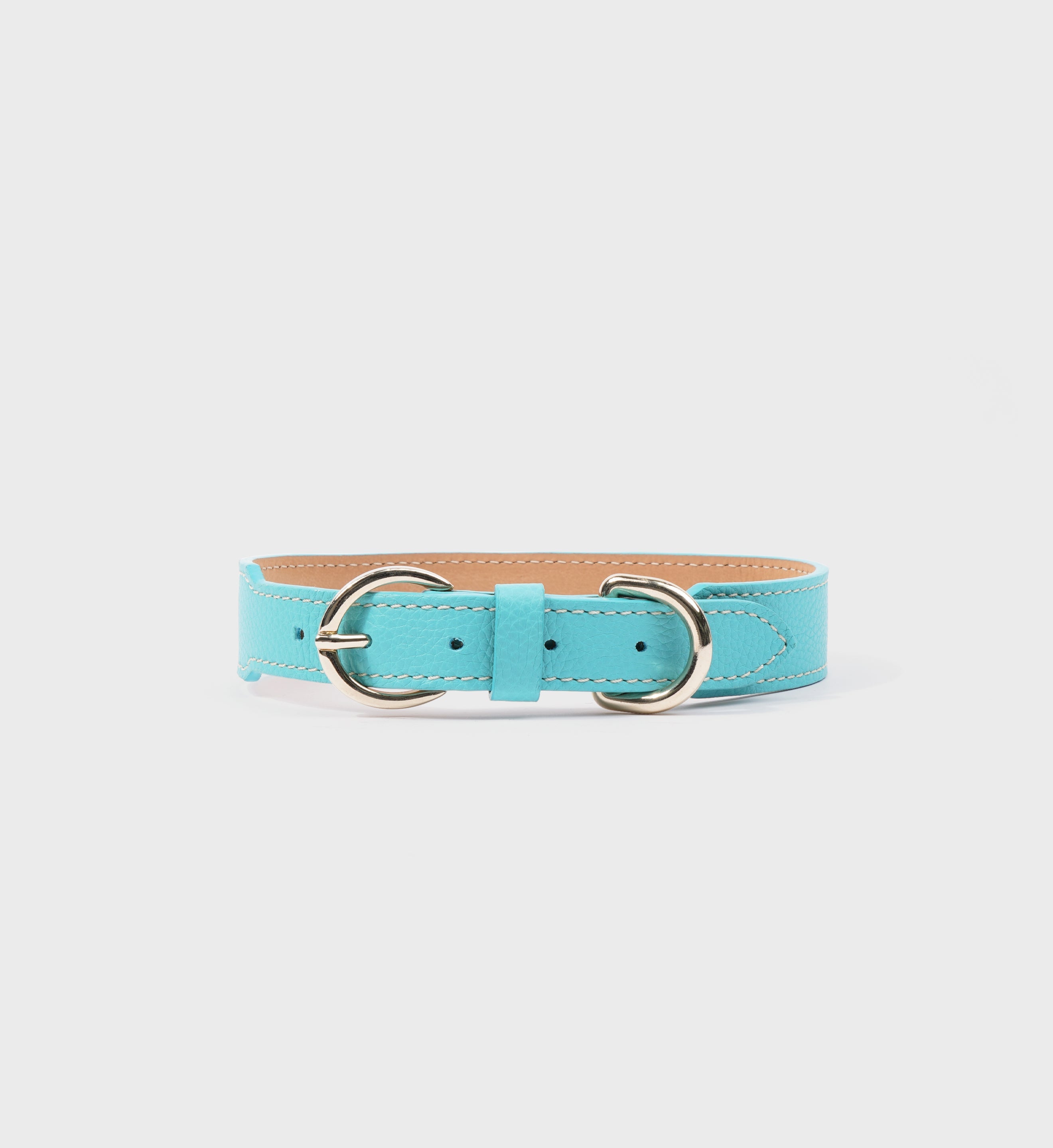 Leather Dog Leash - Paradise/Gold