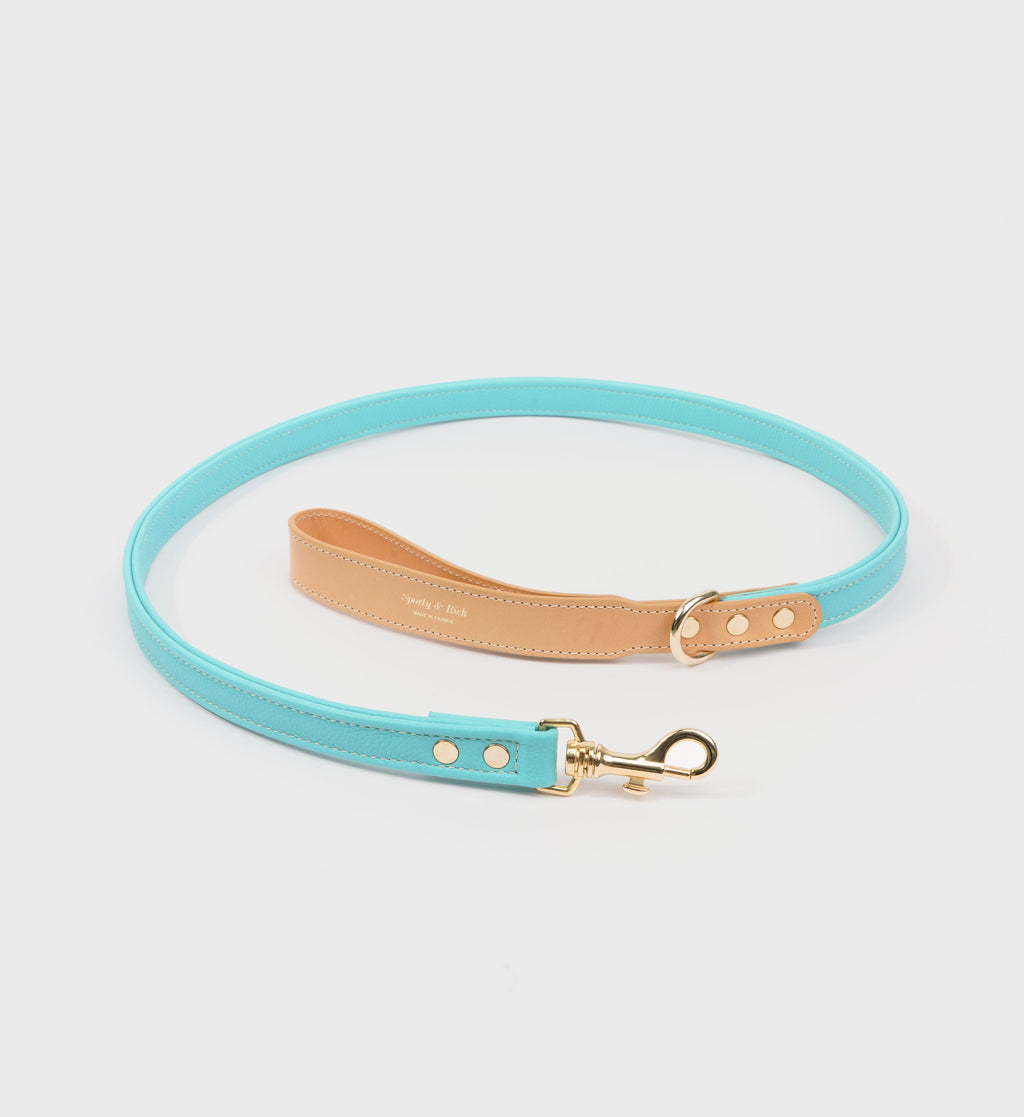 Leather Dog Collar - Paradise/Gold