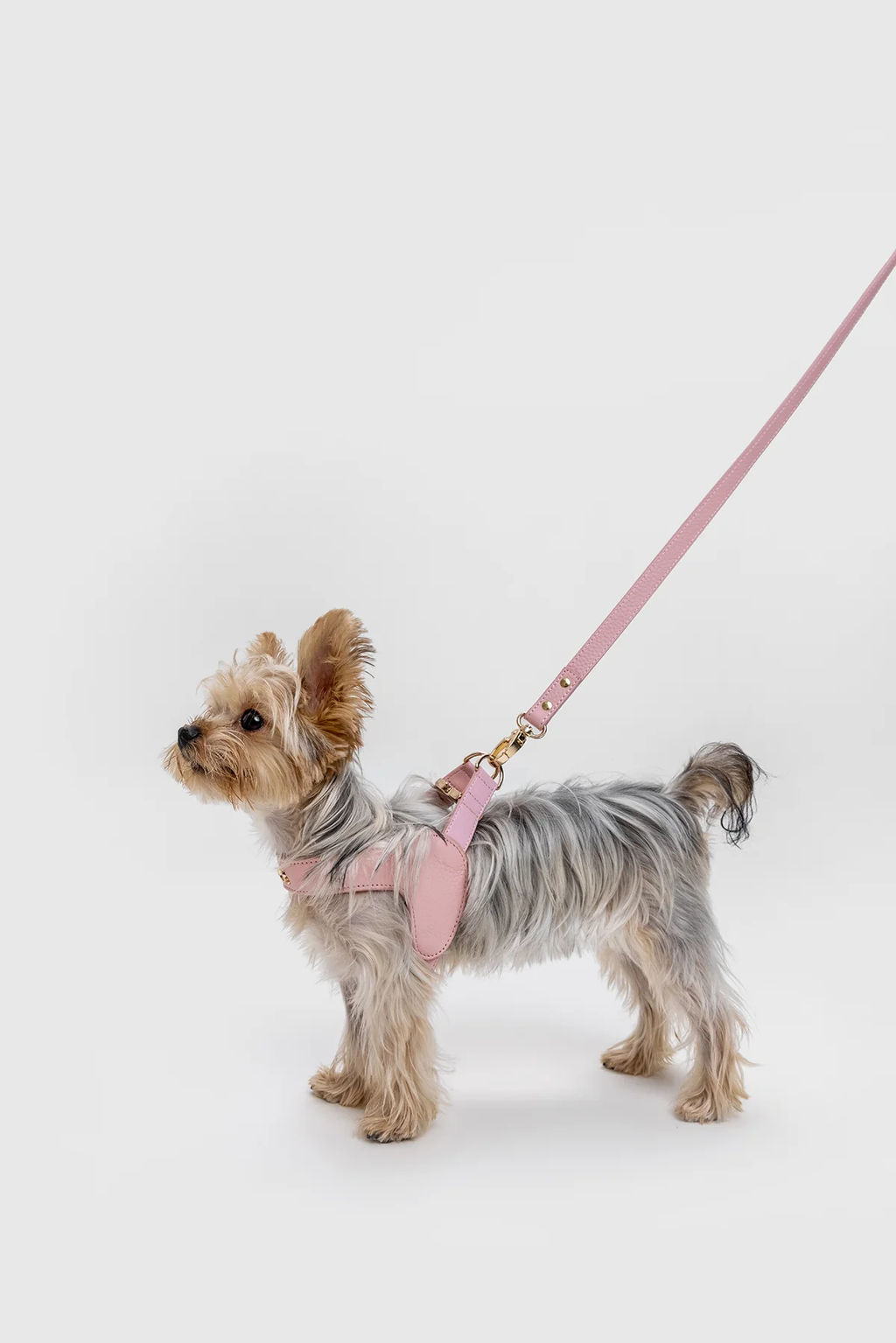 Leather Harness Set