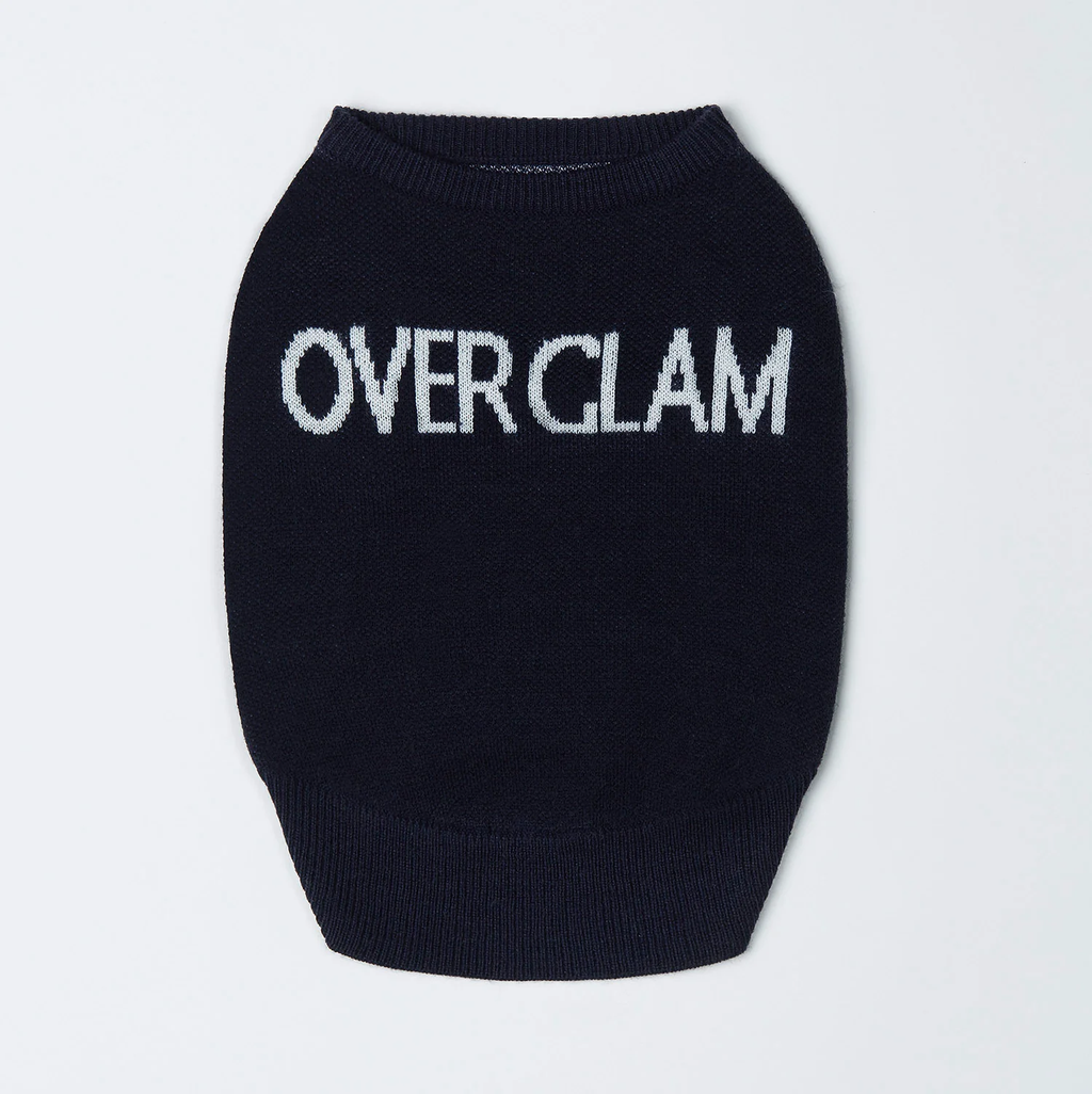 Logo Jumper