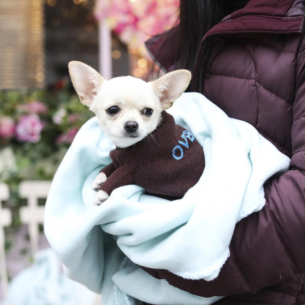 Logo Jumper