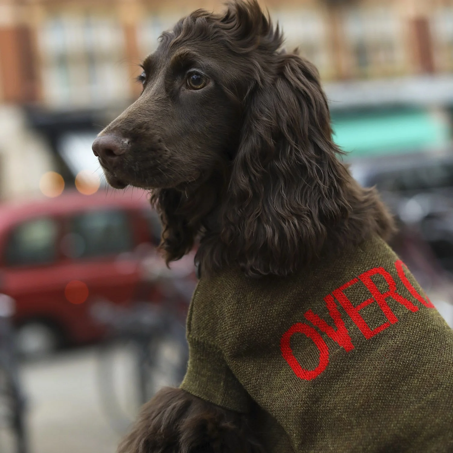 Logo Jumper